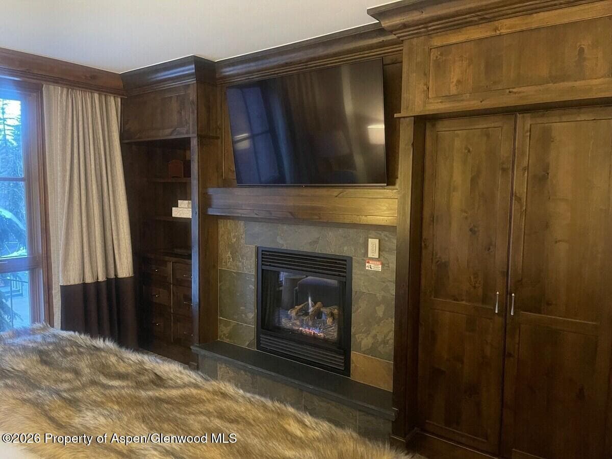 315 E Dean Street, Aspen, CO 81611 - Photo 9