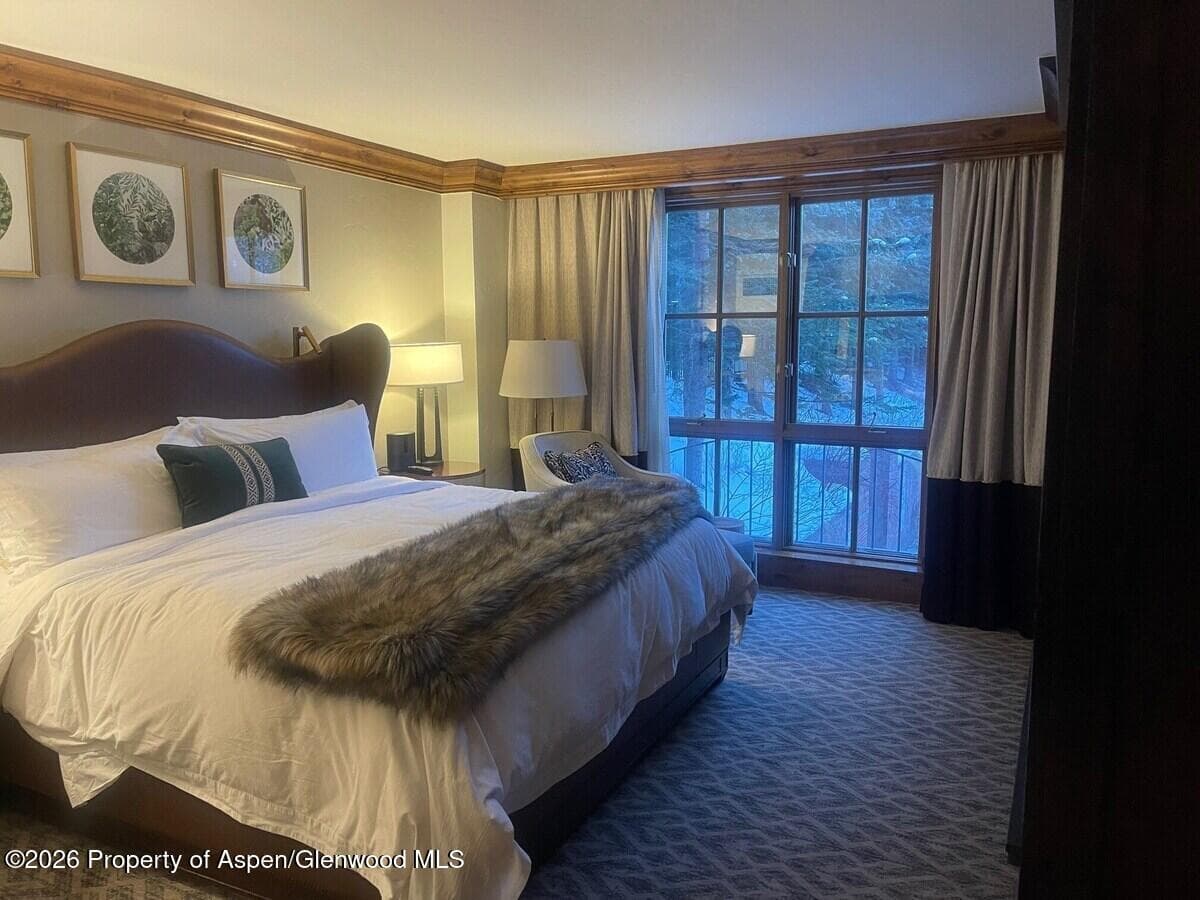 315 E Dean Street, Aspen, CO 81611 - Photo 8
