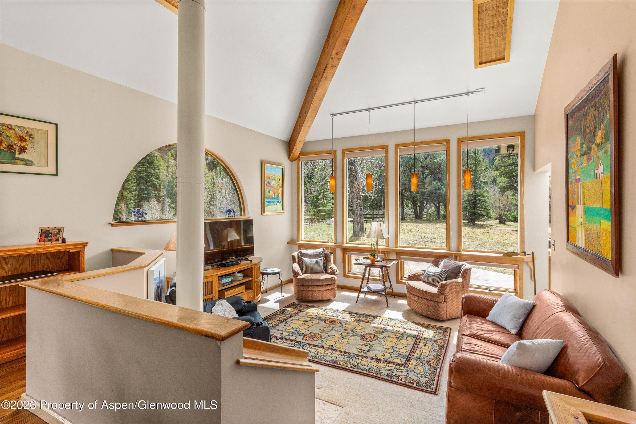 144 Crystal Park Drive, Redstone, CO 81623 - Photo 6