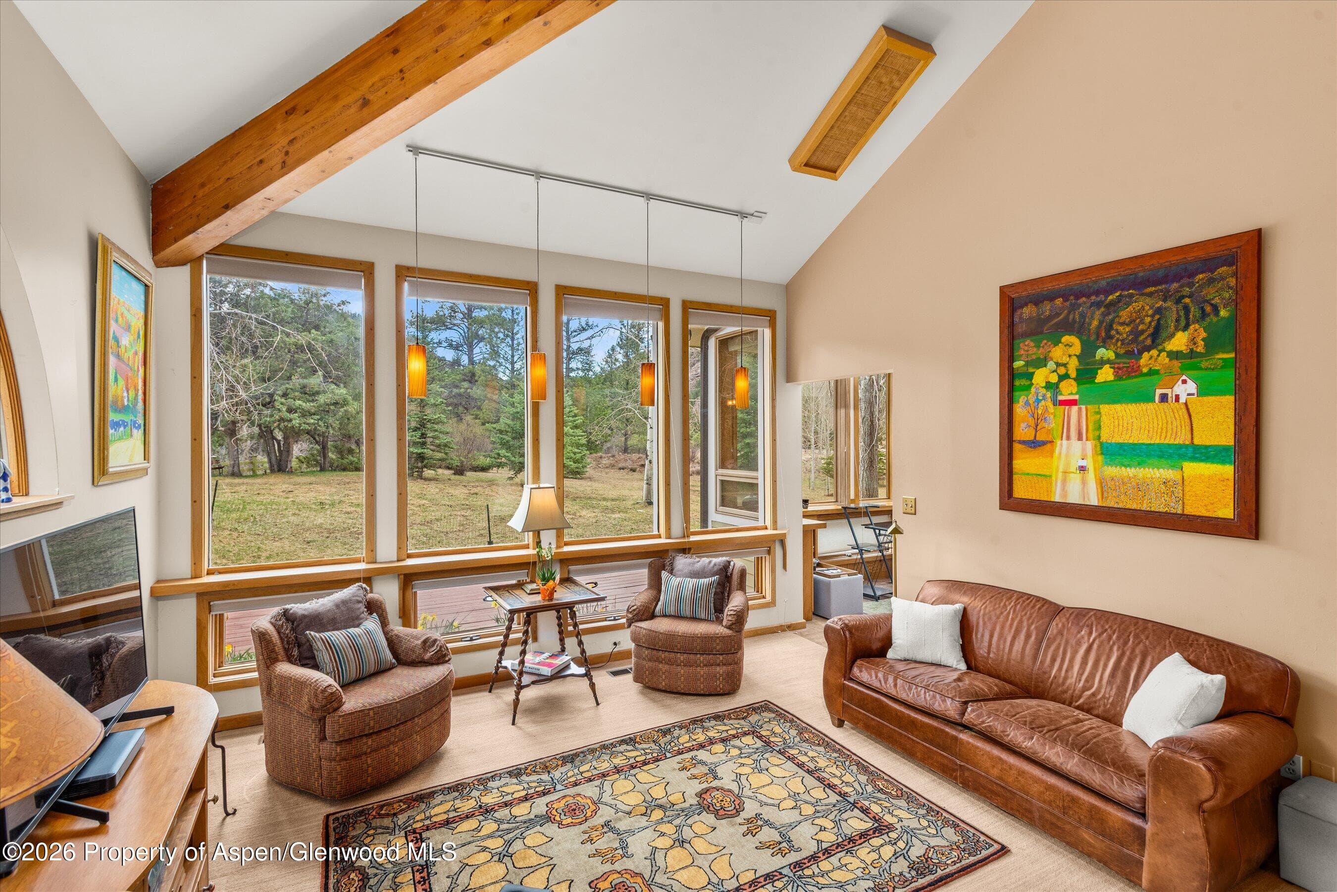 144 Crystal Park Drive, Redstone, CO 81623 - Photo 7