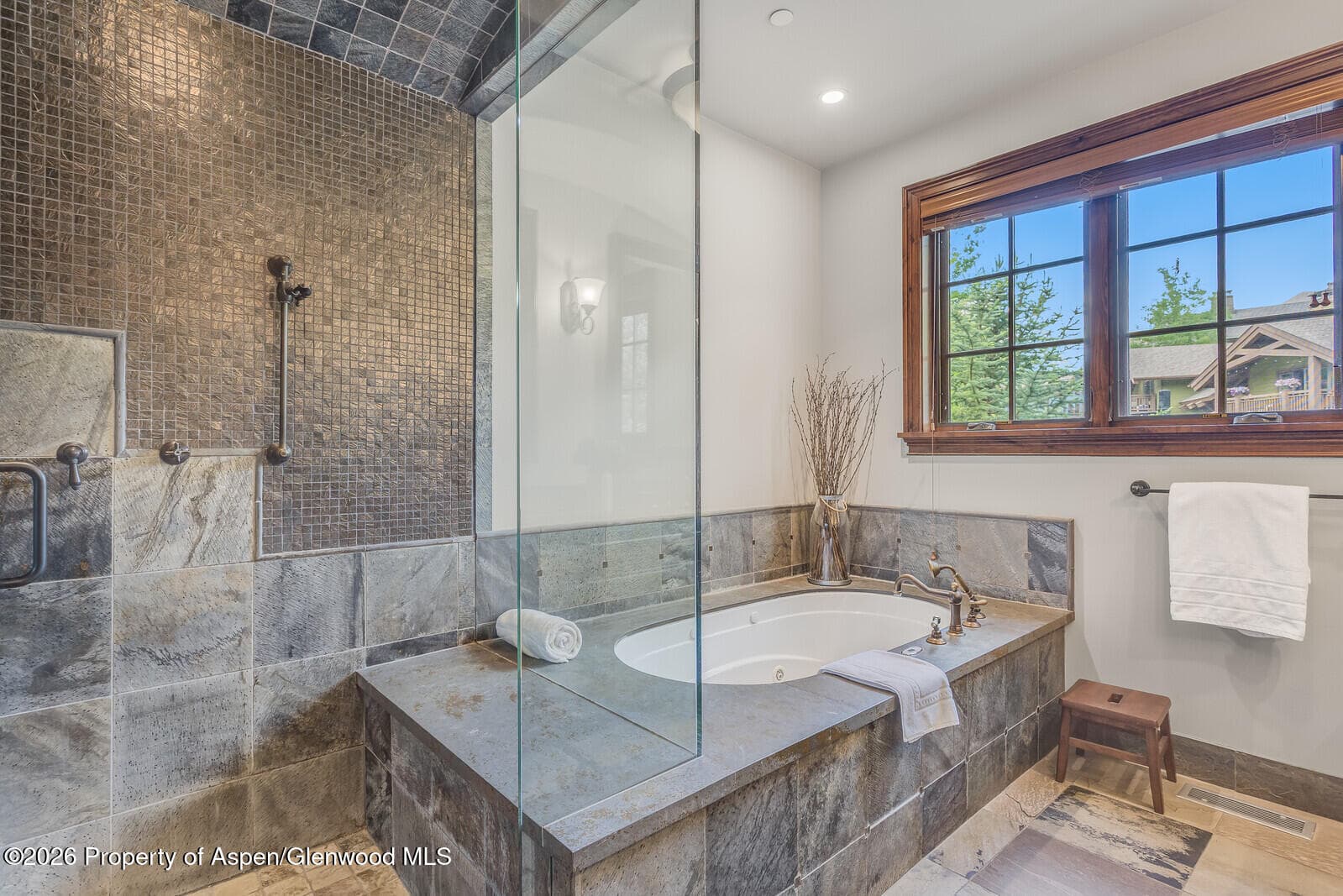51 Thunderbowl Lane 12, Aspen, CO 81611 - Photo 6