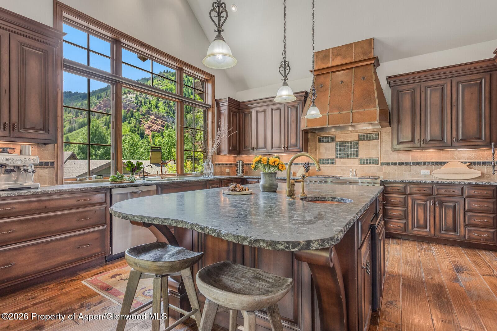 51 Thunderbowl Lane 12, Aspen, CO 81611 - Photo 4