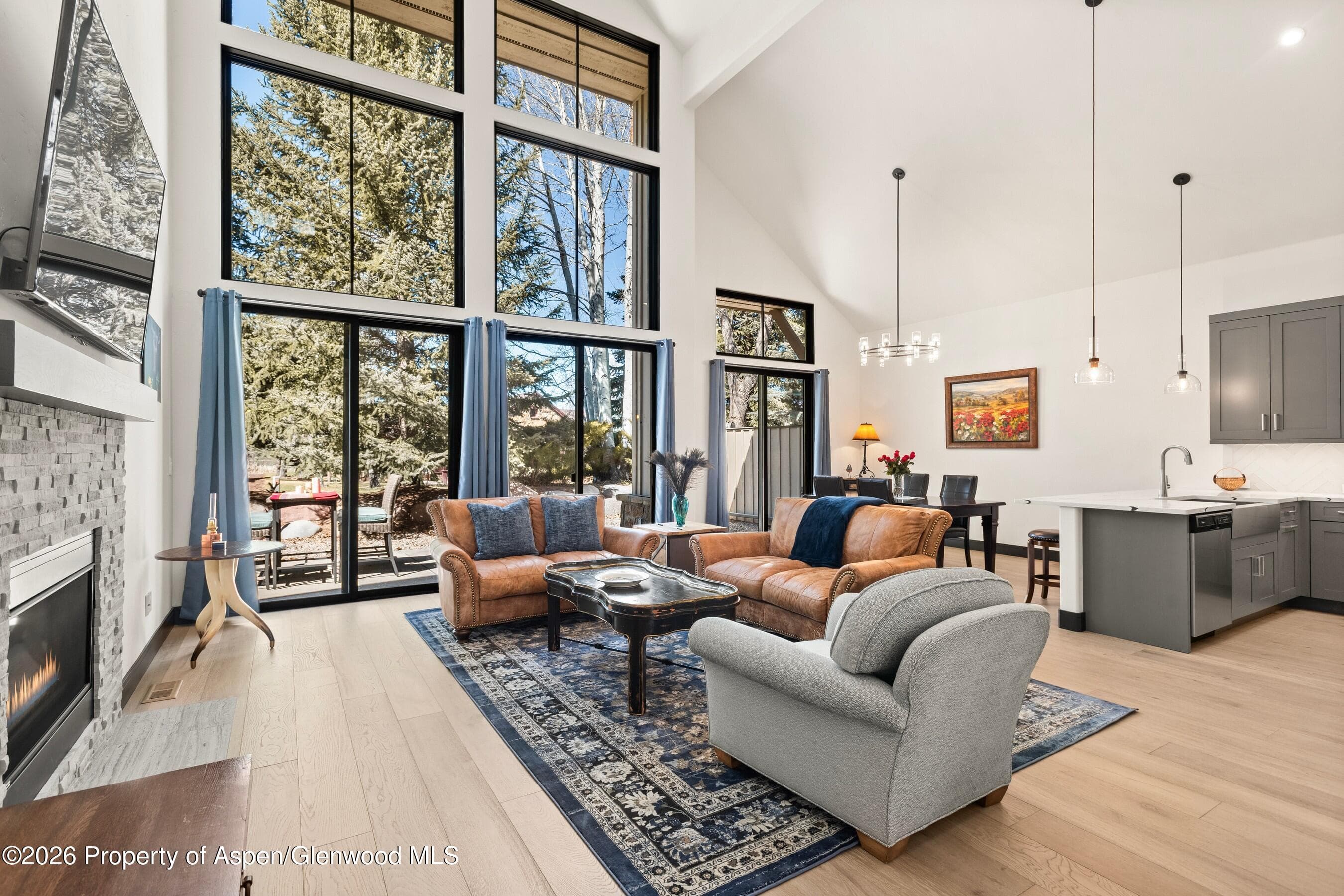 70 Golden Bear Drive, Carbondale, CO 81623 - Photo 3