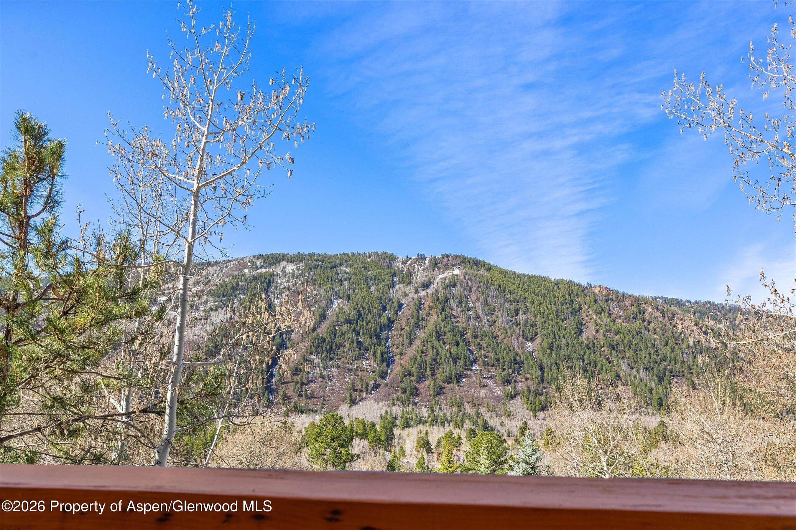 250 Mountain Laurel Drive A, Aspen, CO 81611 - Photo 17