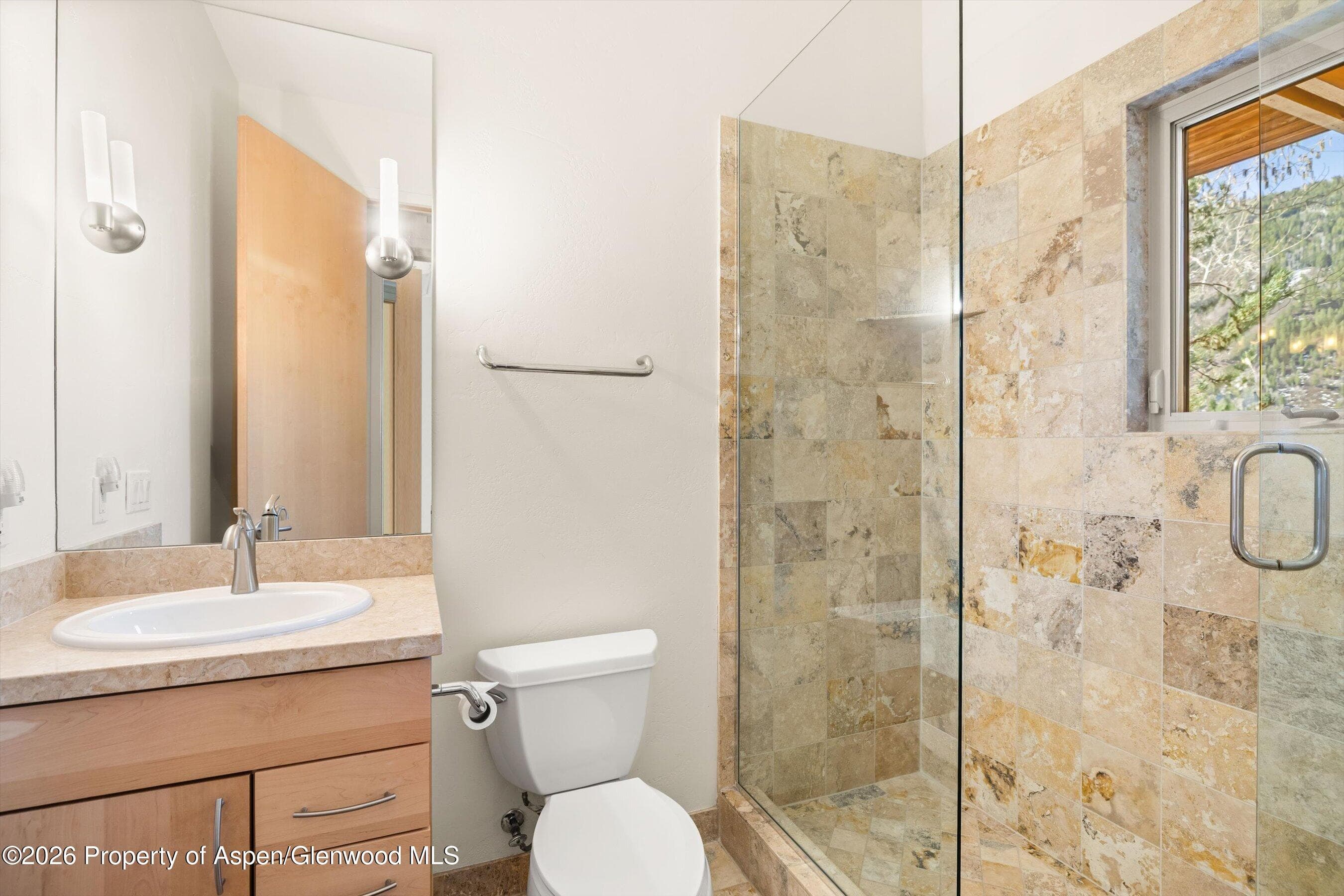 250 Mountain Laurel Drive A, Aspen, CO 81611 - Photo 11