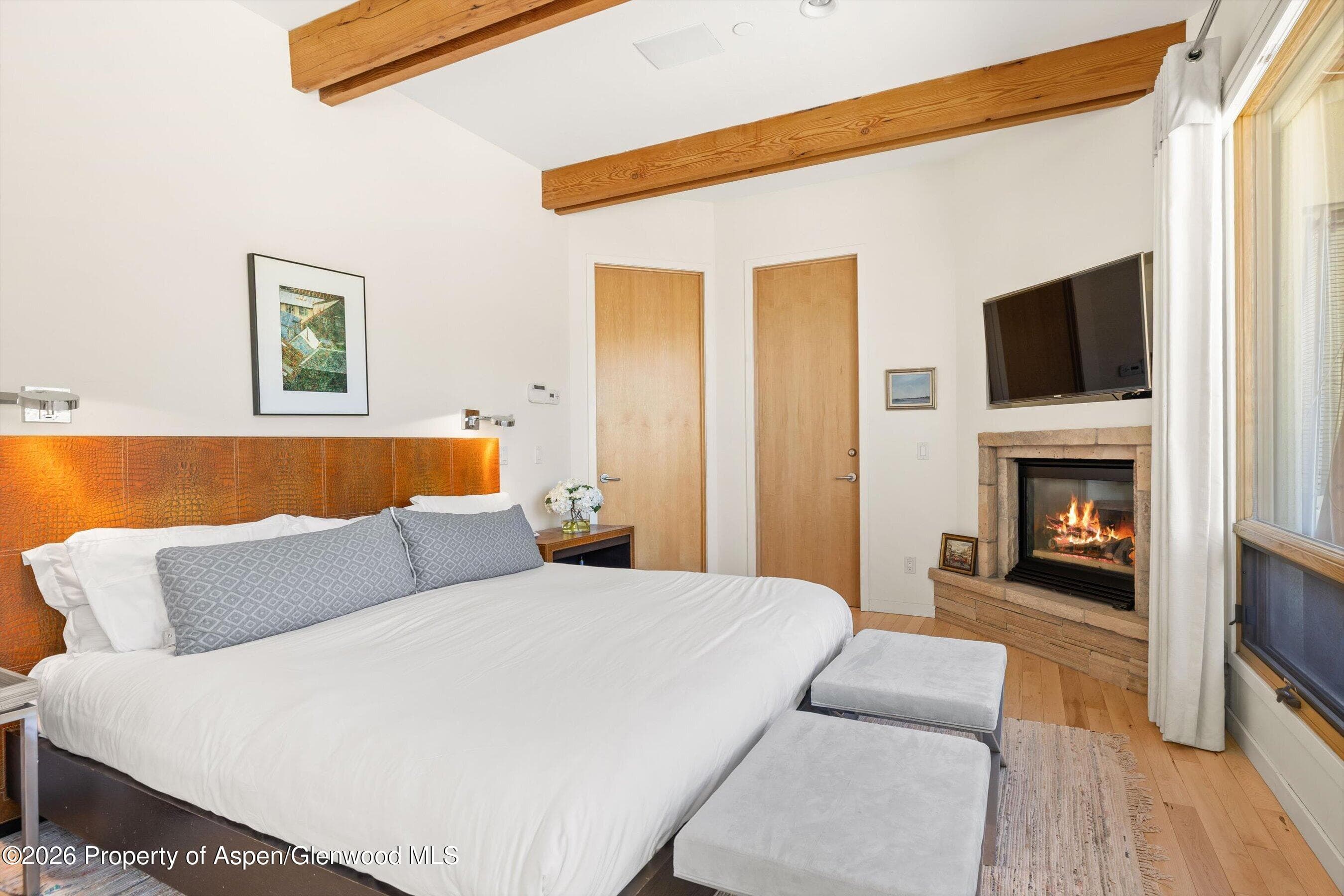 250 Mountain Laurel Drive A, Aspen, CO 81611 - Photo 8