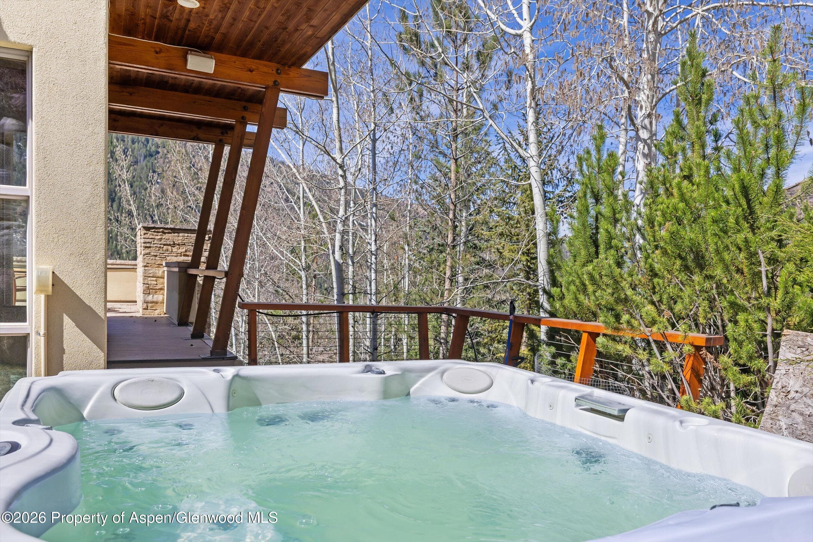 250 Mountain Laurel Drive A, Aspen, CO 81611 - Photo 21