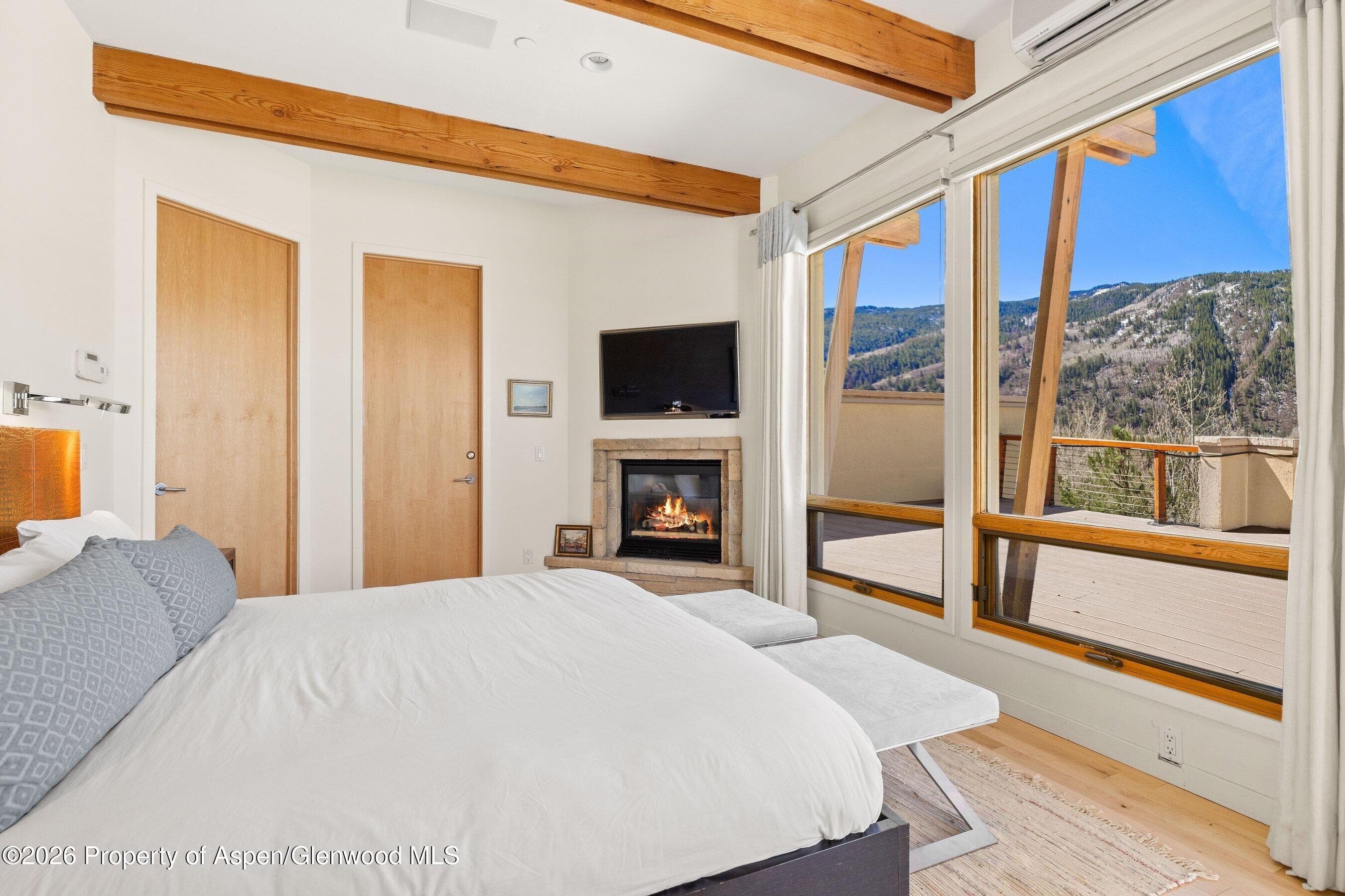 250 Mountain Laurel Drive A, Aspen, CO 81611 - Photo 7