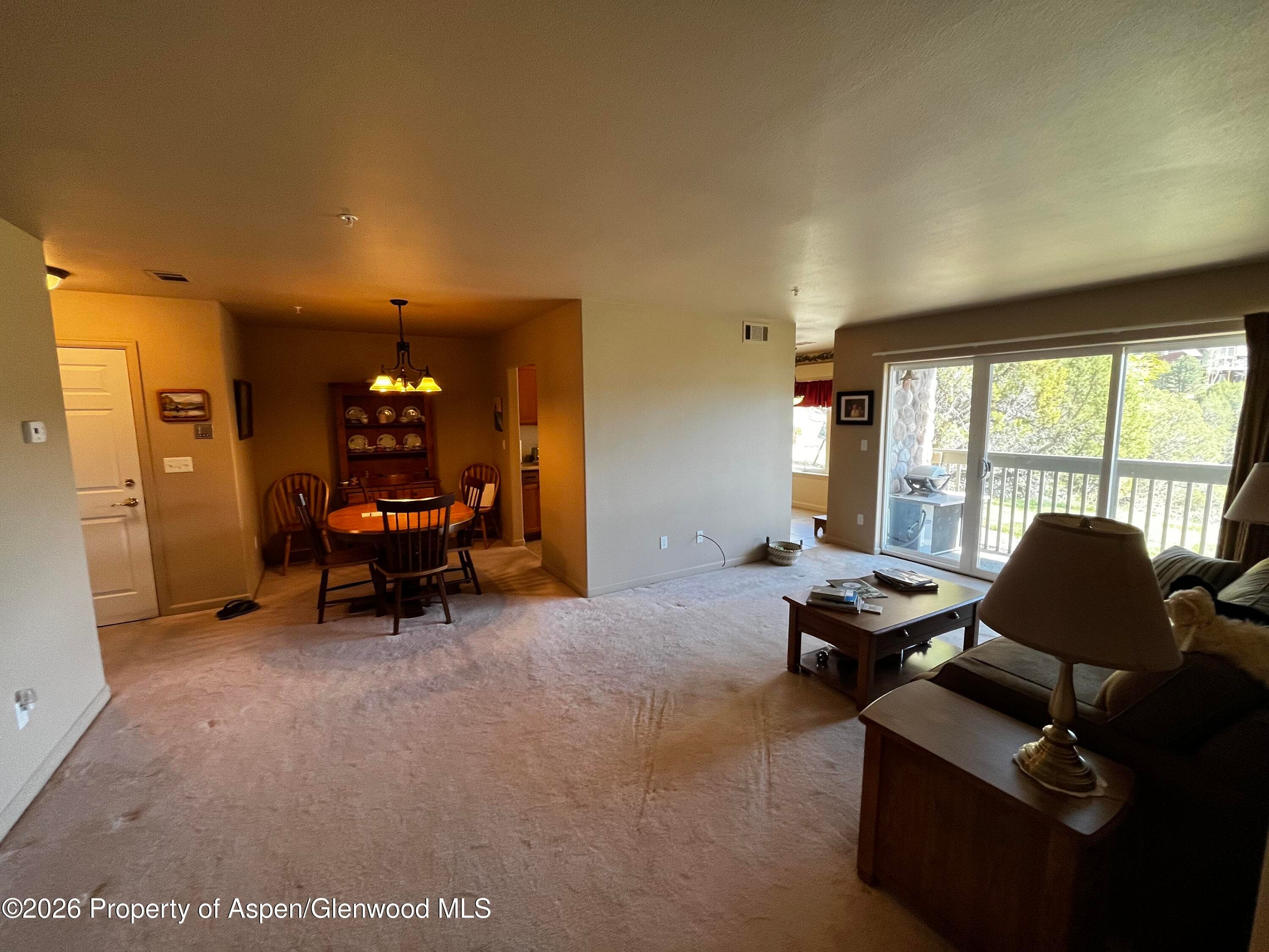 790 Castle Valley Boulevard C, New Castle, CO 81647 - Photo 8