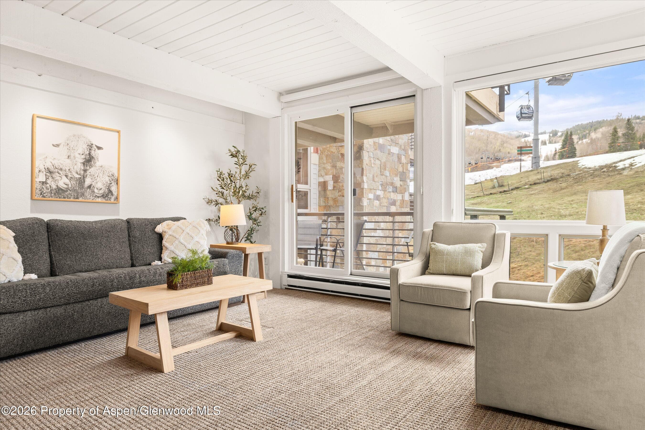 360 Wood Road 209, Snowmass Village, CO 81615 - Photo 3