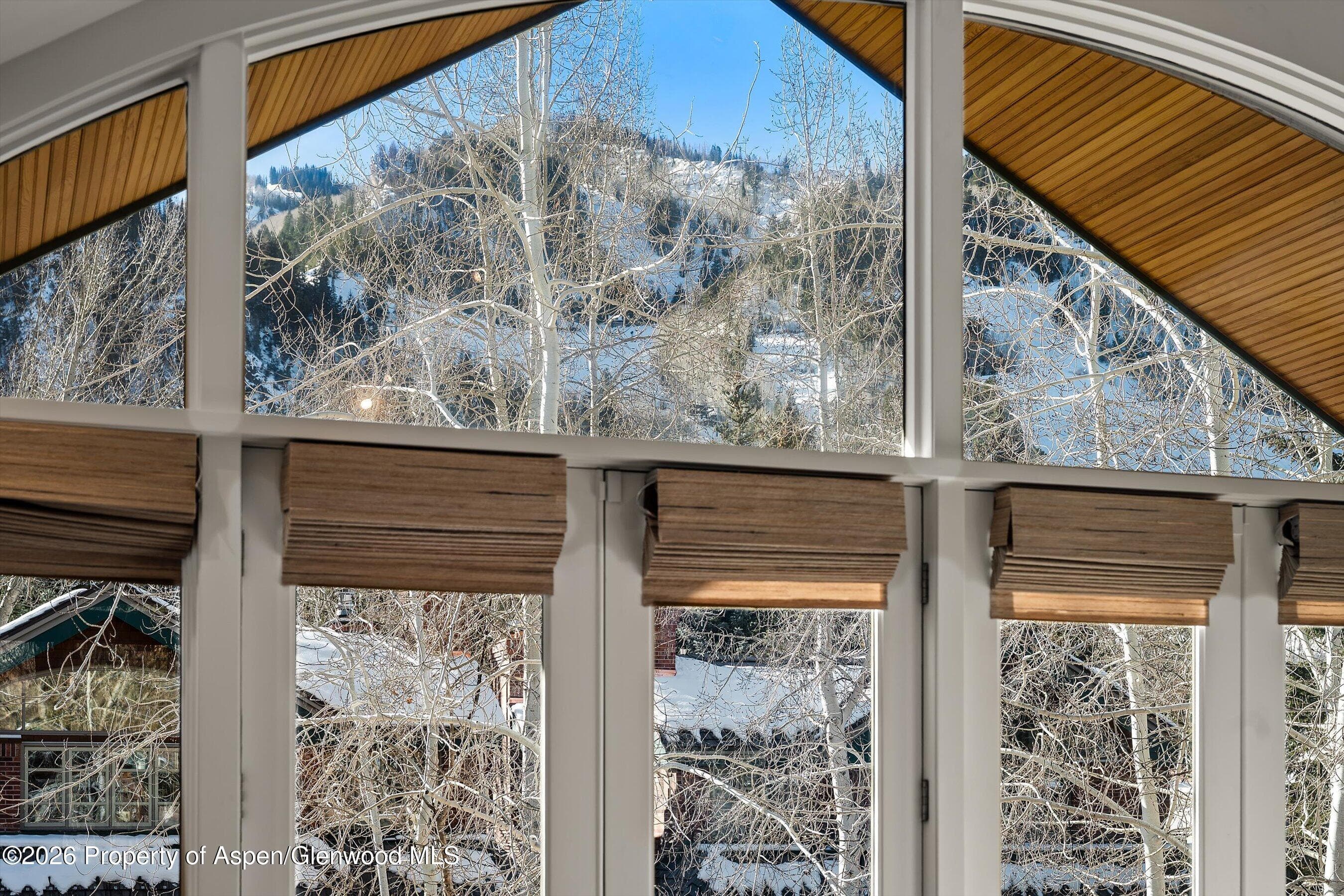 825 E Cooper Avenue, Aspen, CO 81611 - Photo 11