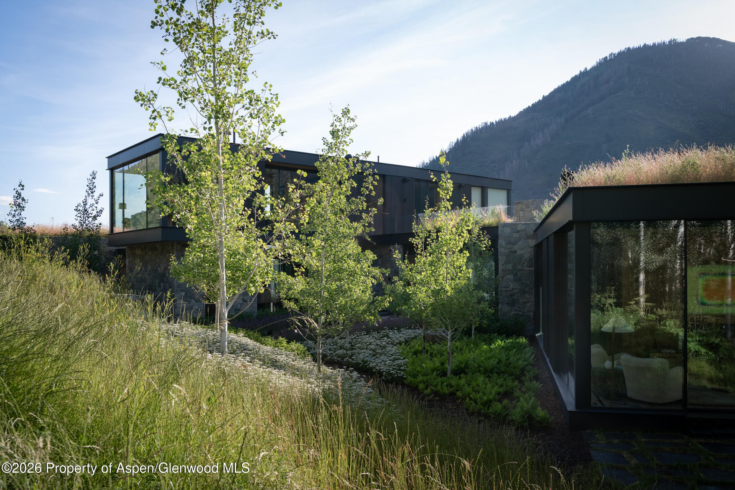 724 N Hayden Road, Aspen, CO 81611 - Photo 41