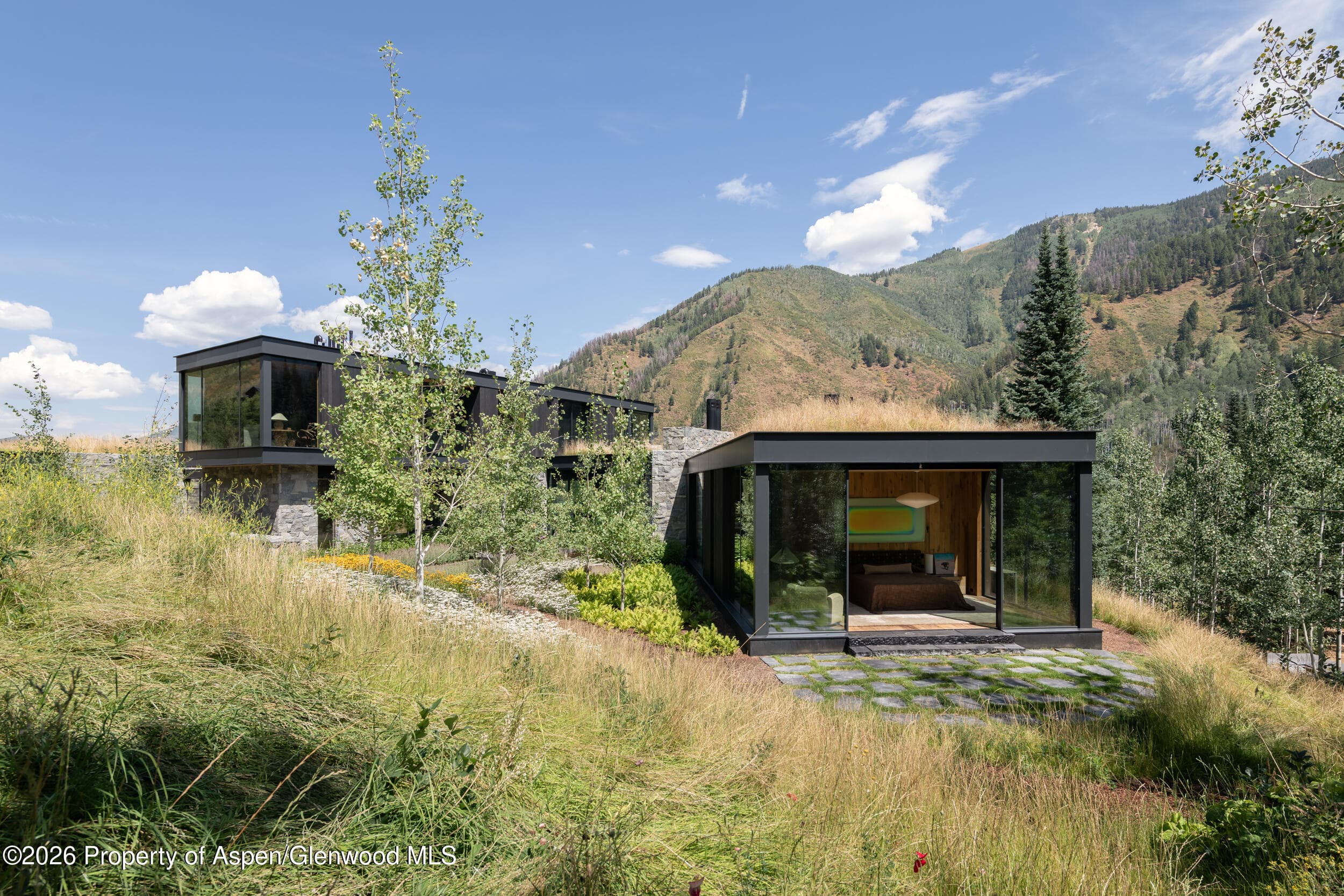 724 N Hayden Road, Aspen, CO 81611 - Photo 42