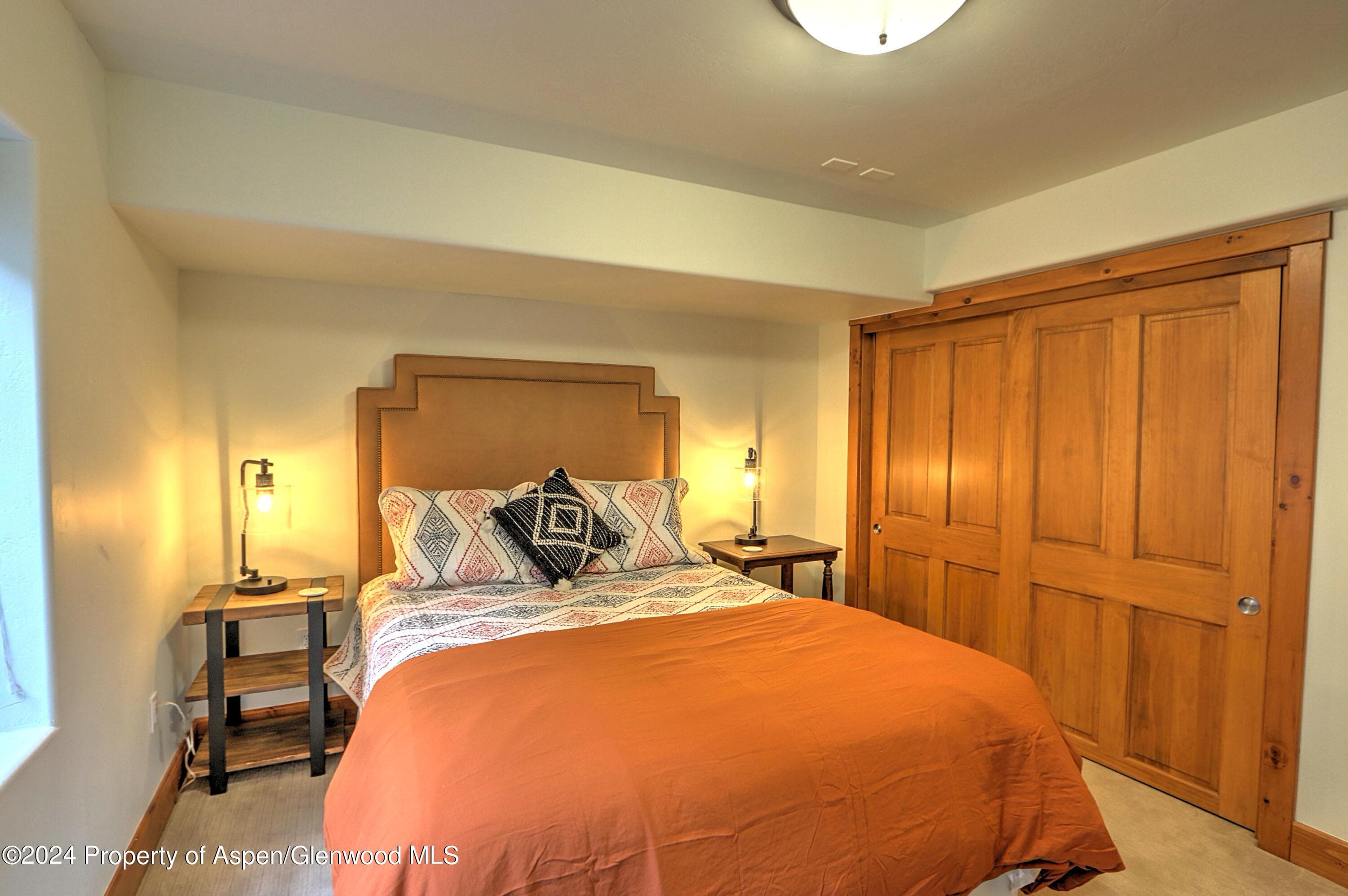 408 Settlement Lane, Carbondale, CO 81623 - Photo 34