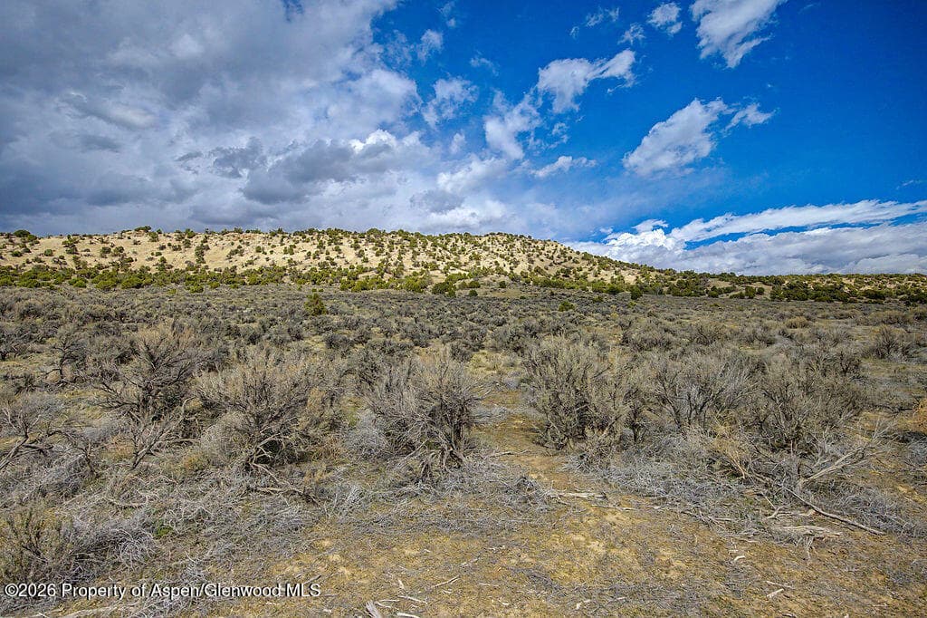 37801 Highway 318, Craig, CO 81625 - Photo 3