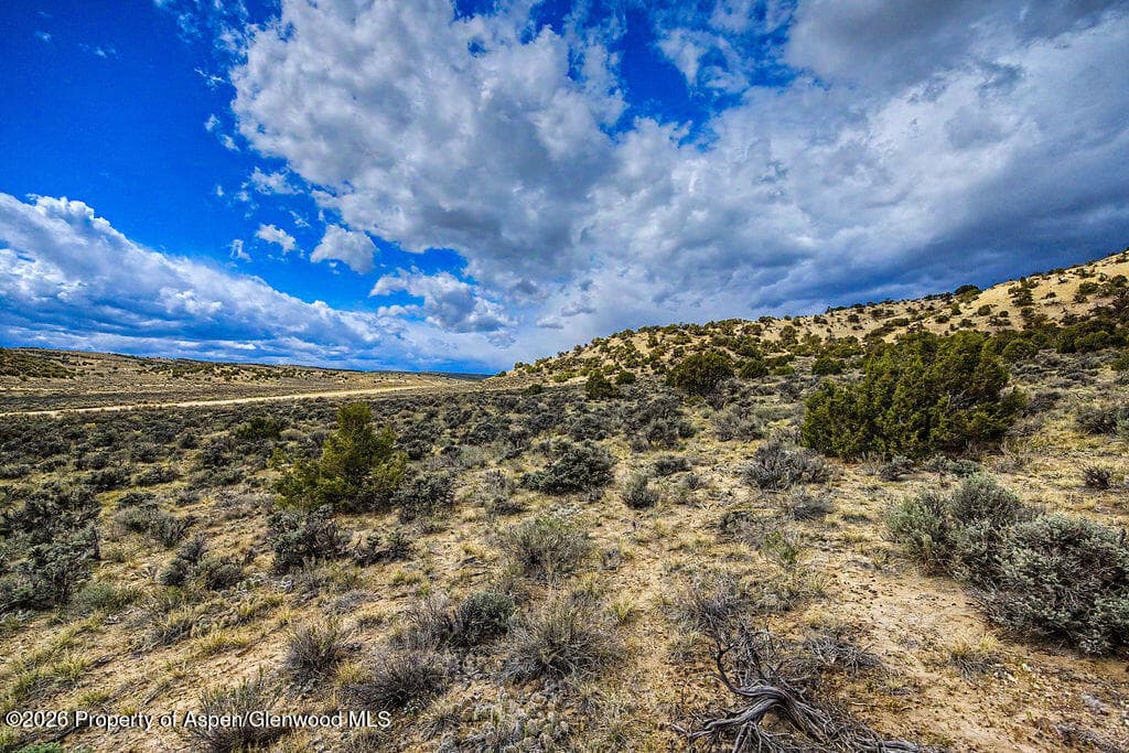 37801 Highway 318, Craig, CO 81625 - Photo 16