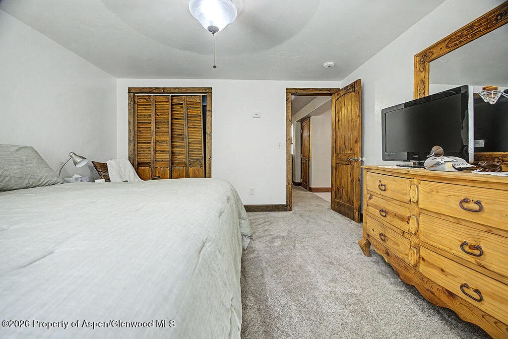 270 Harvest Drive, Hayden, CO 81639 - Photo 65