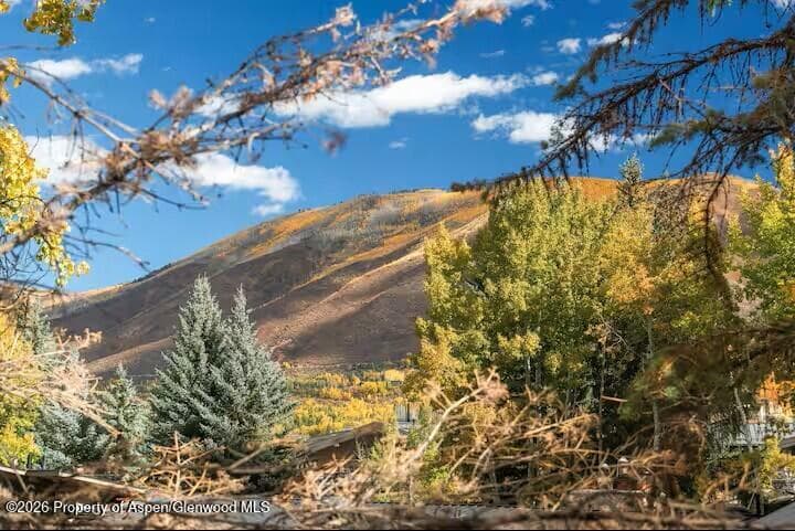 107 Aspen Mountain Road 9, Aspen, CO 81611 - Photo 19
