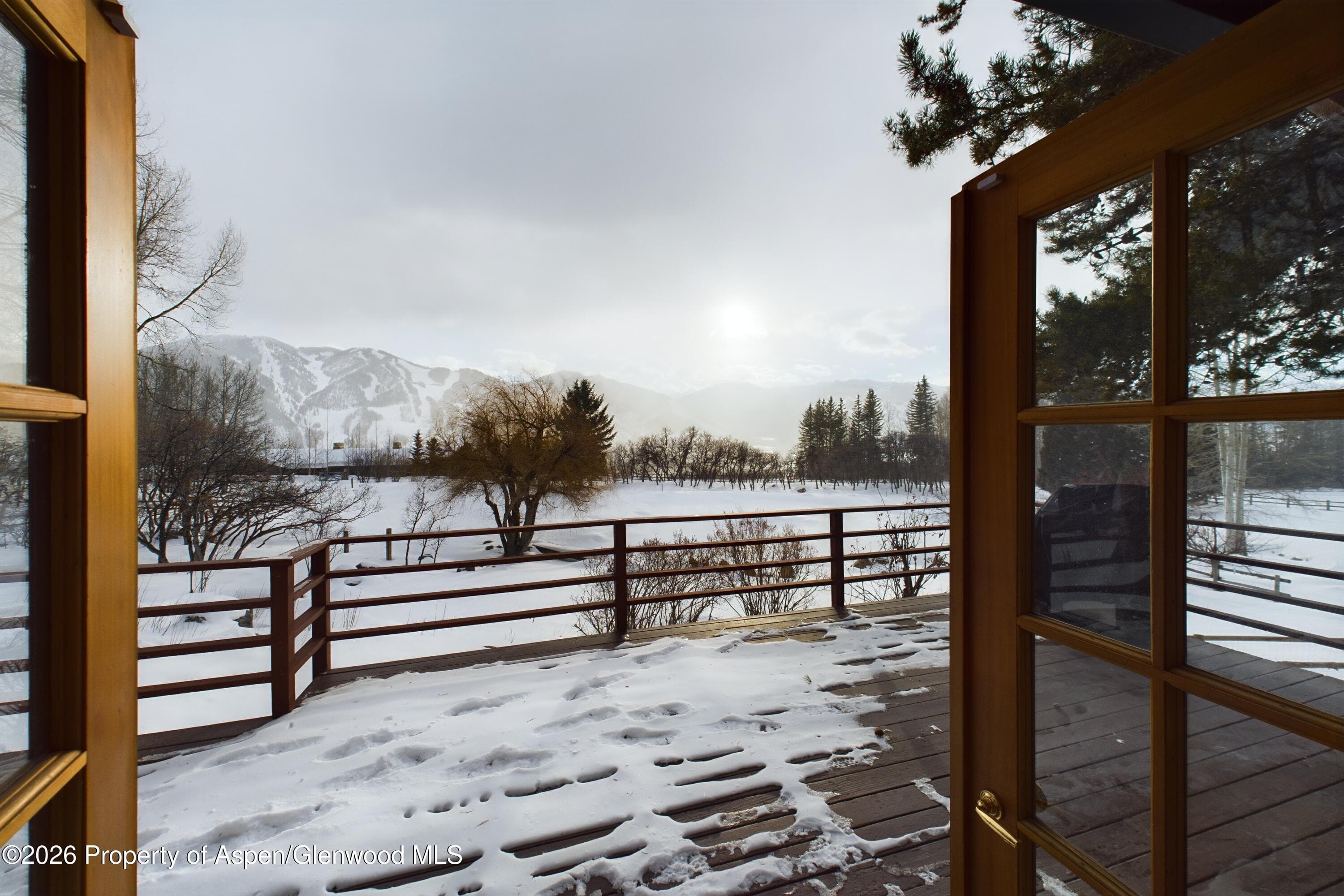 209 E Reds Road, Aspen, CO 81611 - Photo 14