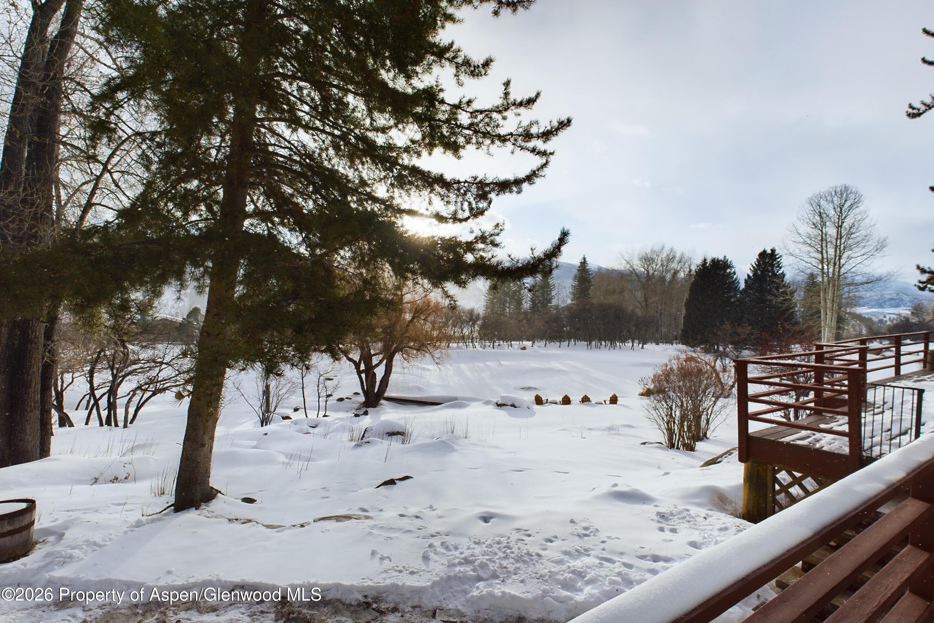 209 E Reds Road, Aspen, CO 81611 - Photo 18