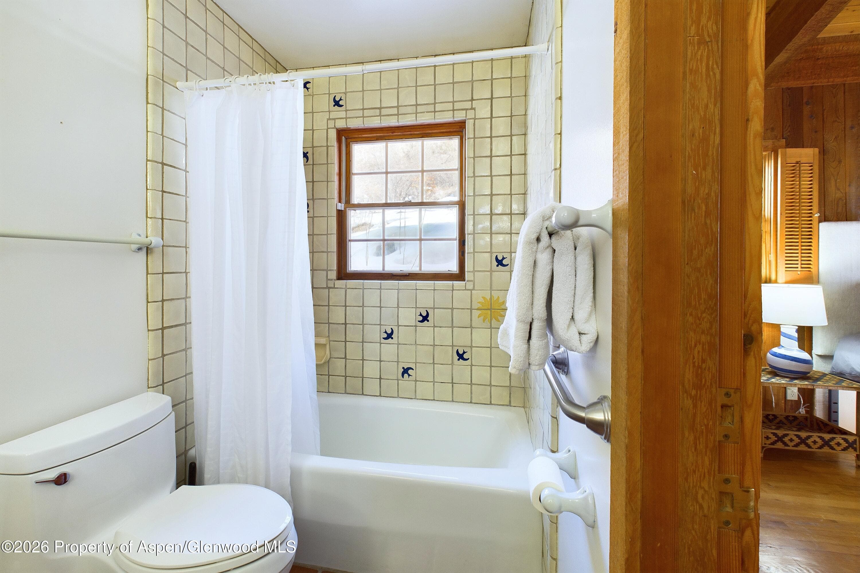 209 E Reds Road, Aspen, CO 81611 - Photo 40