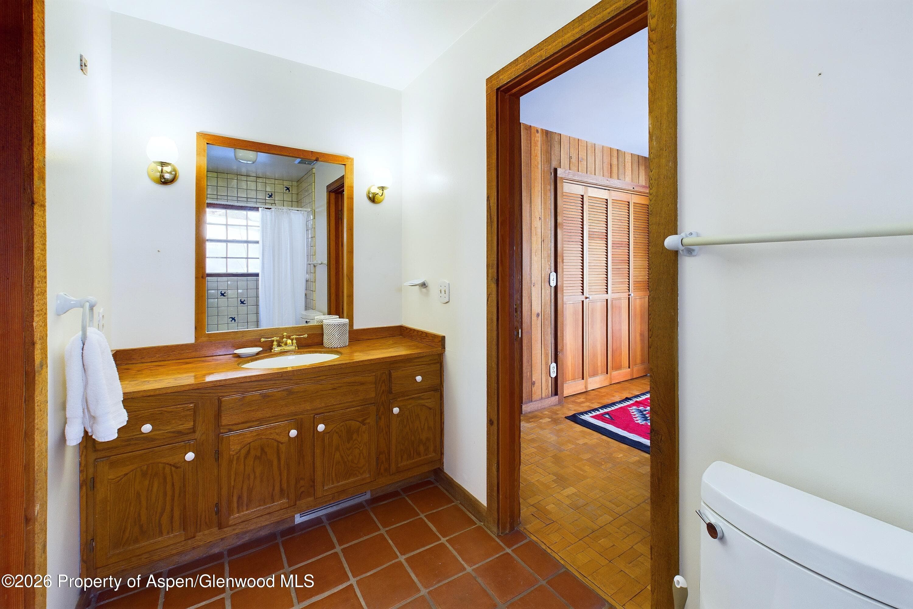 209 E Reds Road, Aspen, CO 81611 - Photo 41