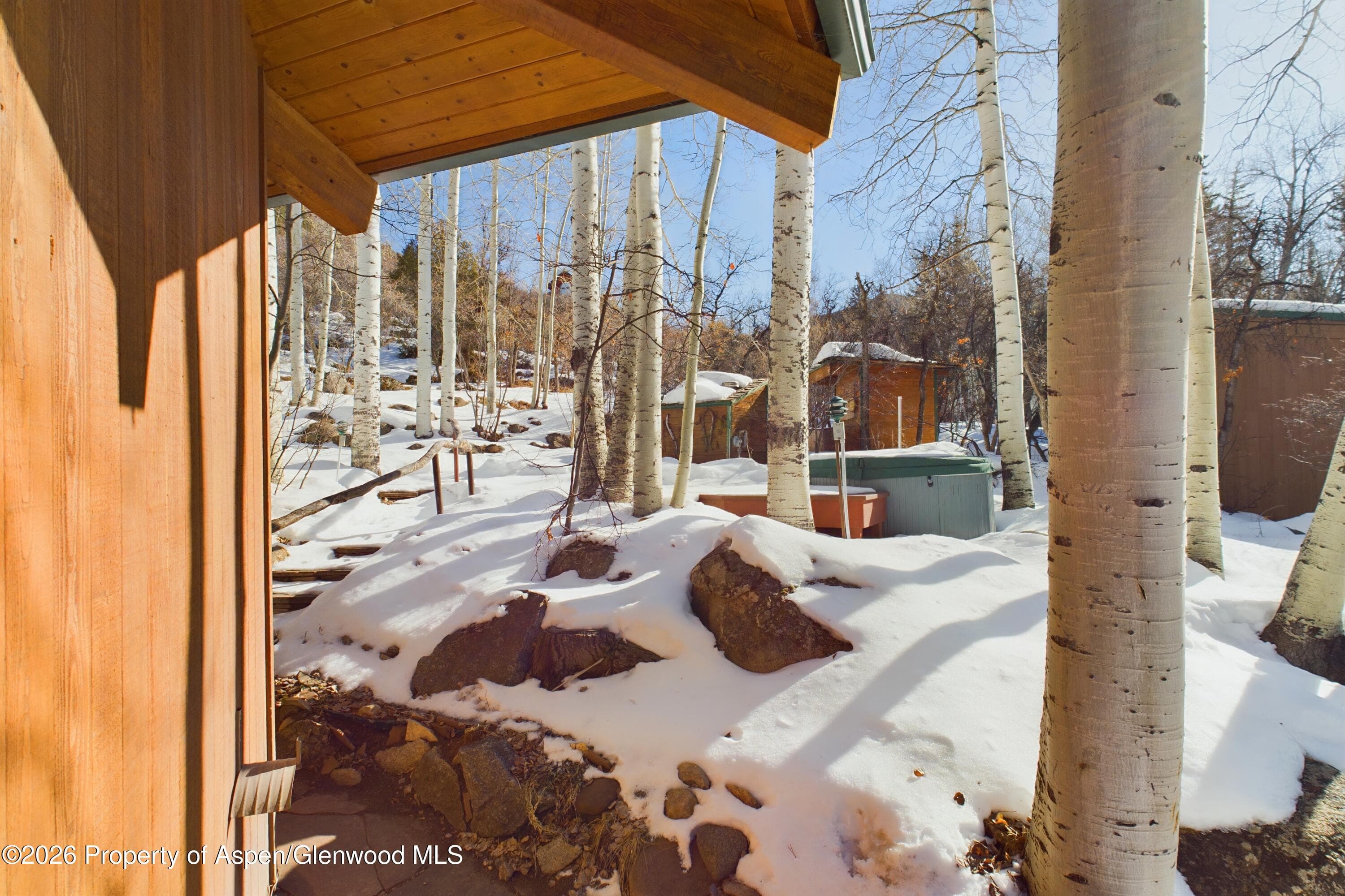 209 E Reds Road, Aspen, CO 81611 - Photo 38