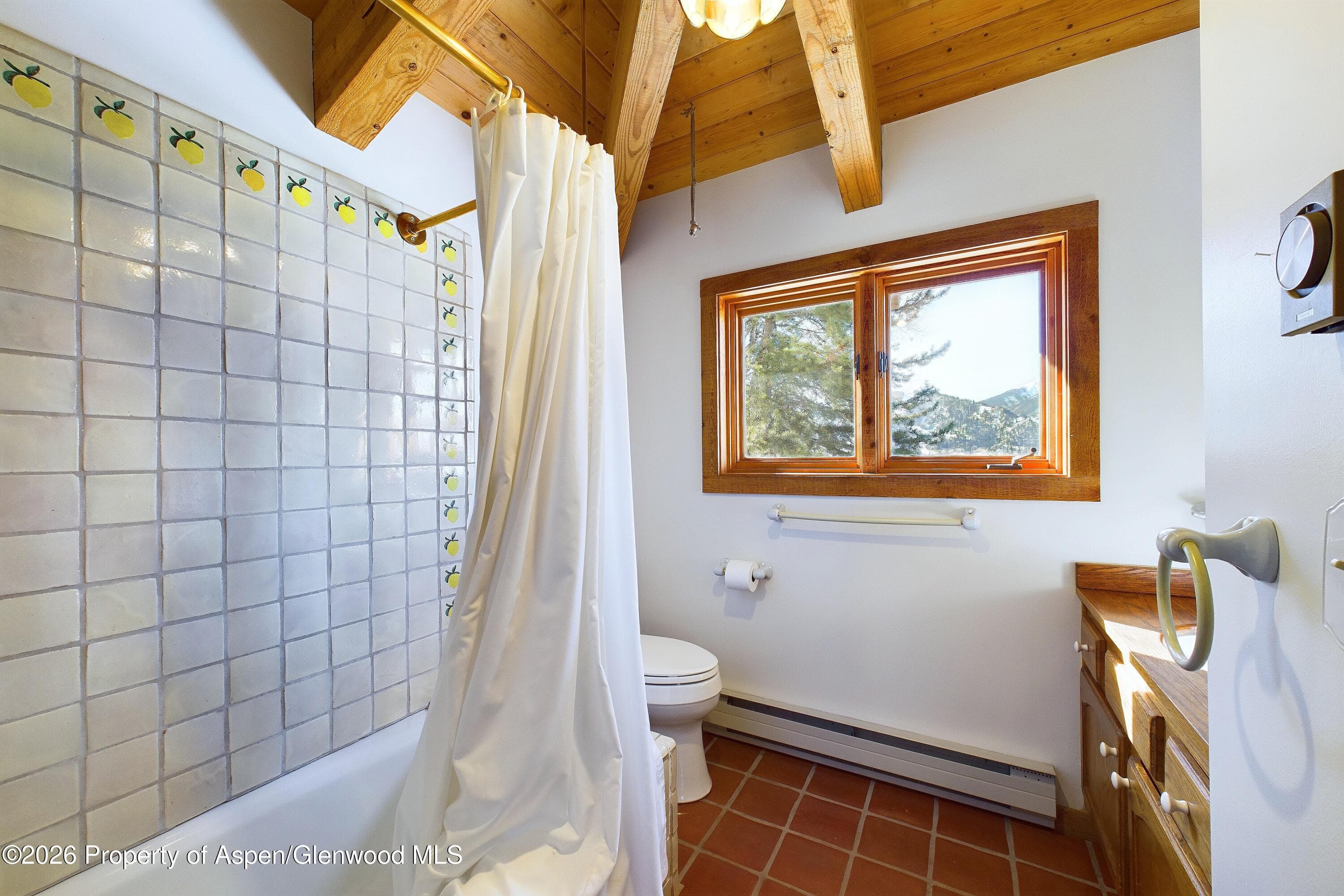 209 E Reds Road, Aspen, CO 81611 - Photo 47