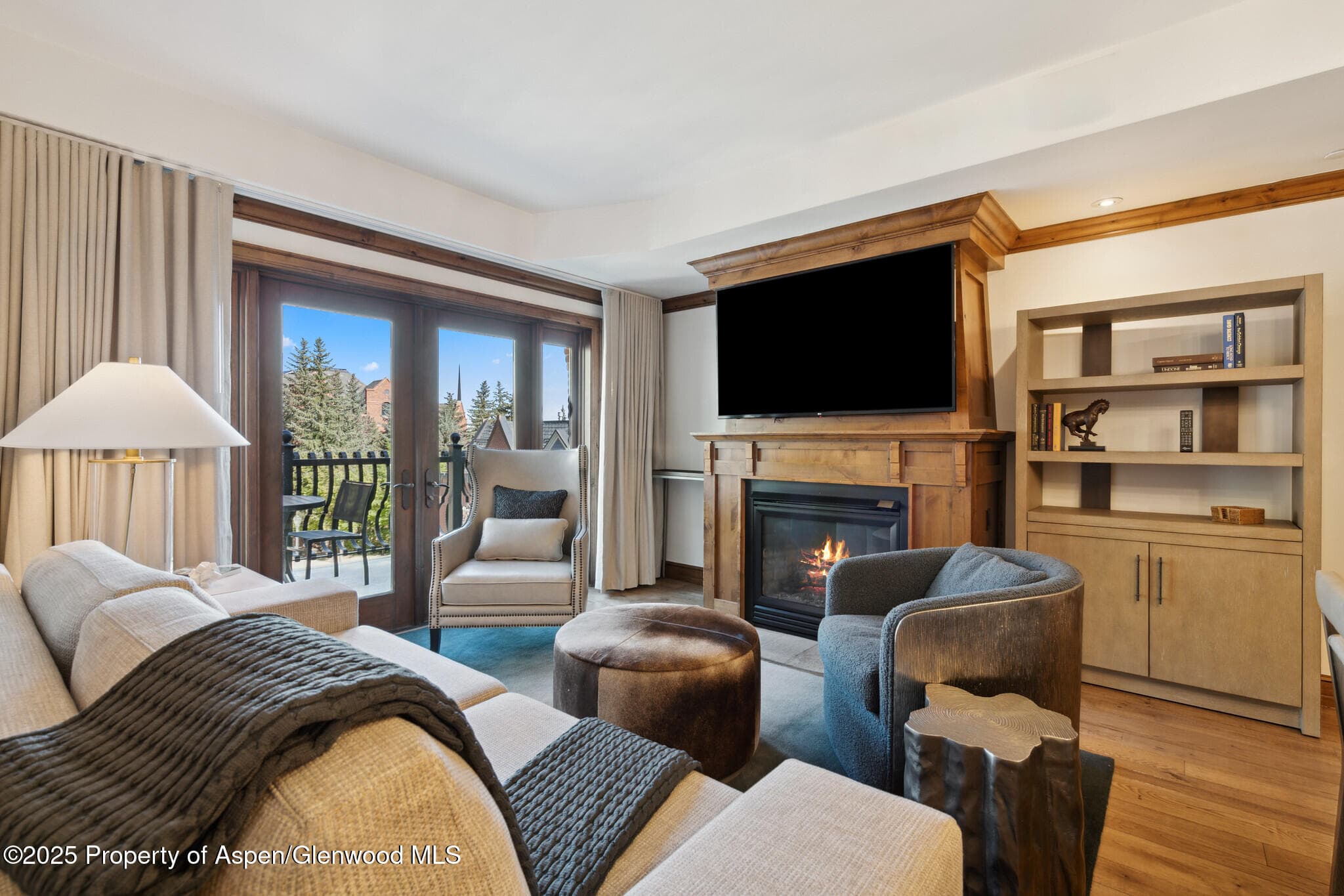 415 E Dean St, Unit 48, Week 8, Aspen, CO 81611 - Photo 3