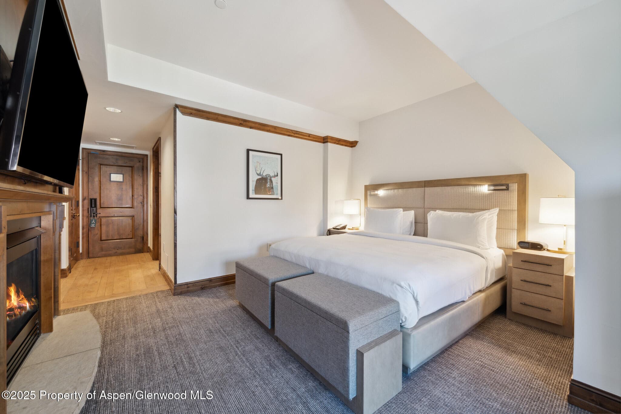 415 E Dean St, Unit 48, Week 8, Aspen, CO 81611 - Photo 24