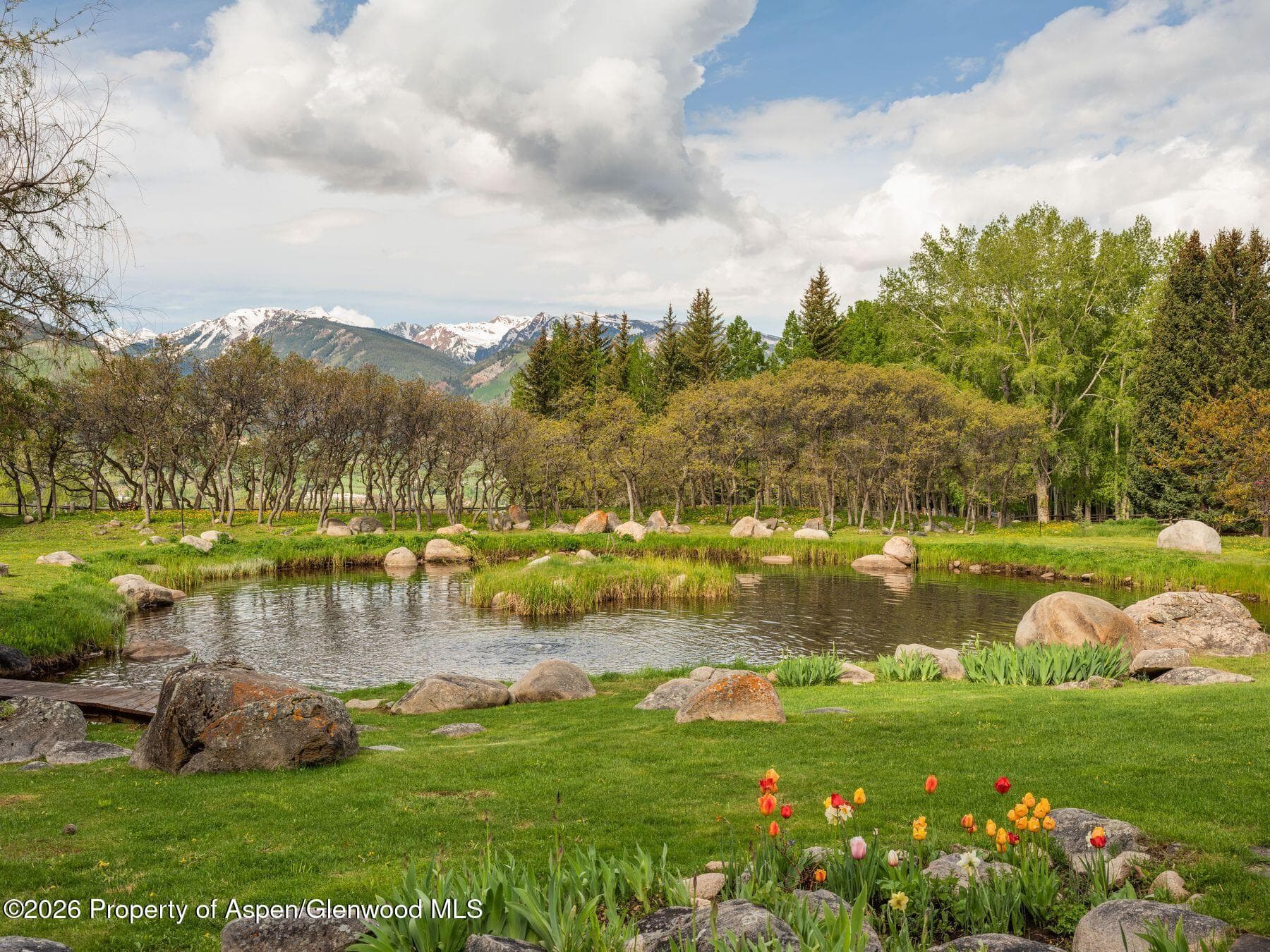 209 E Reds Road, Aspen, CO 81611 - Photo 5