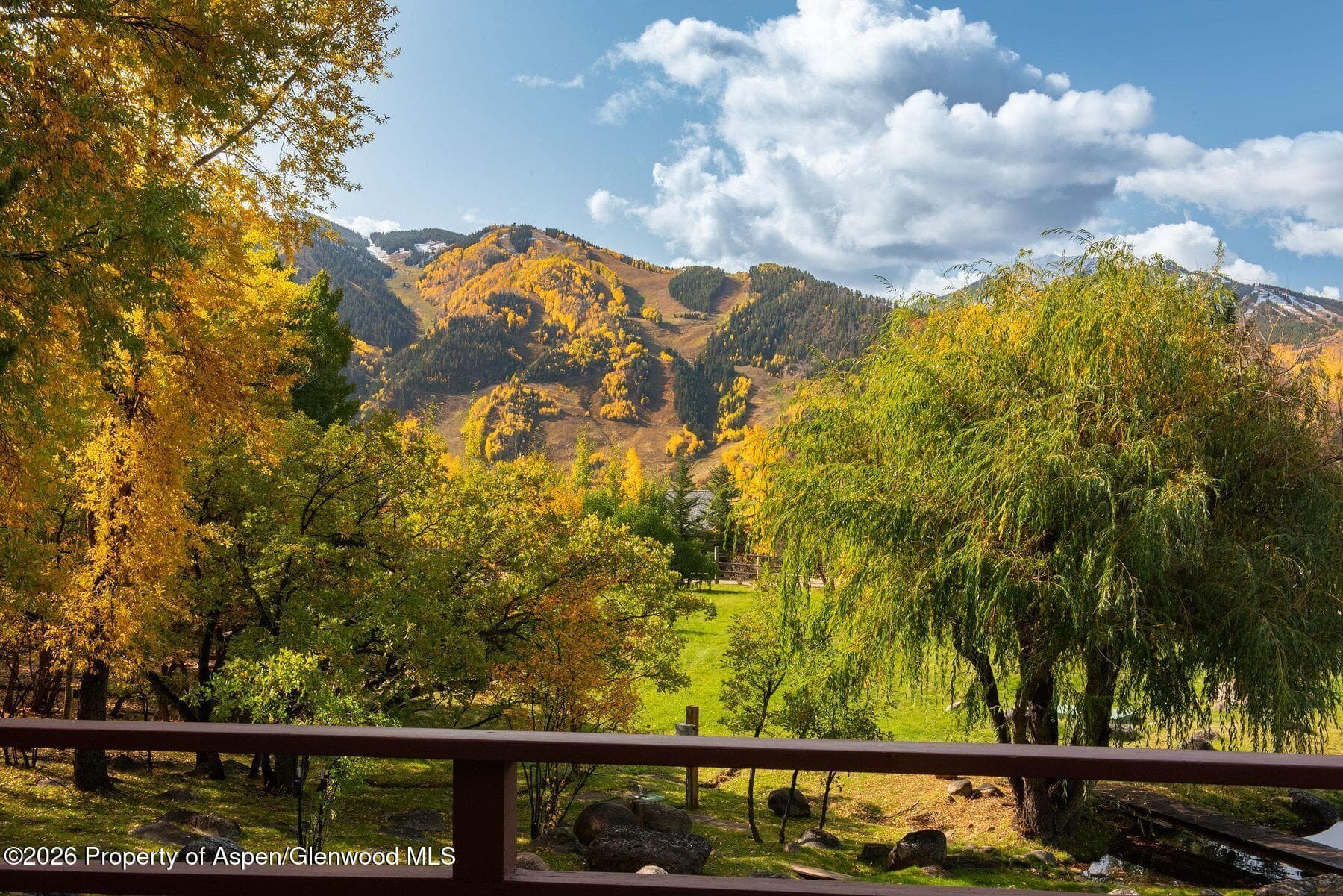 209 E Reds Road, Aspen, CO 81611 - Photo 22