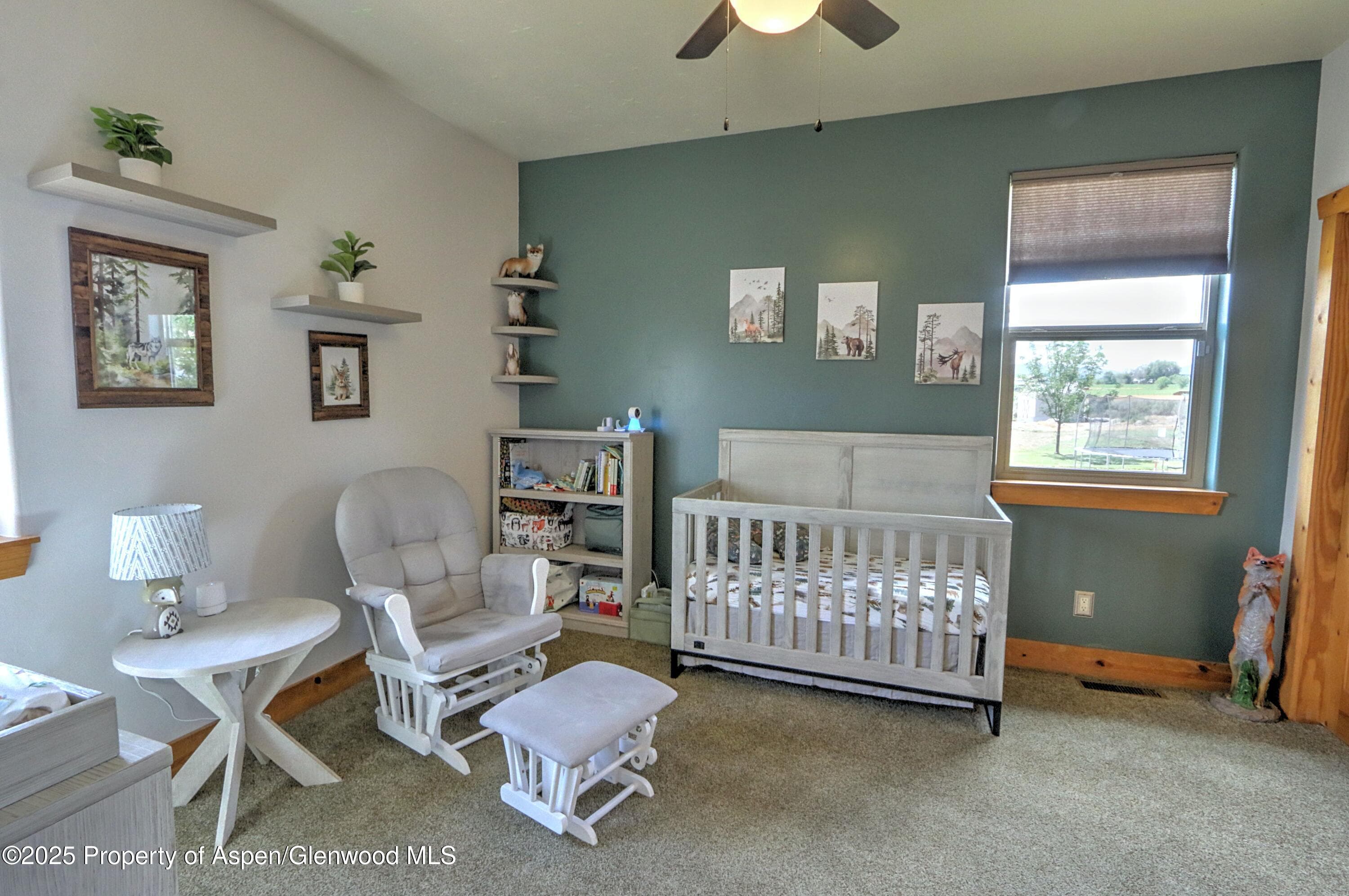 369 N Meadow Drive, Rifle, CO 81650 - Photo 26