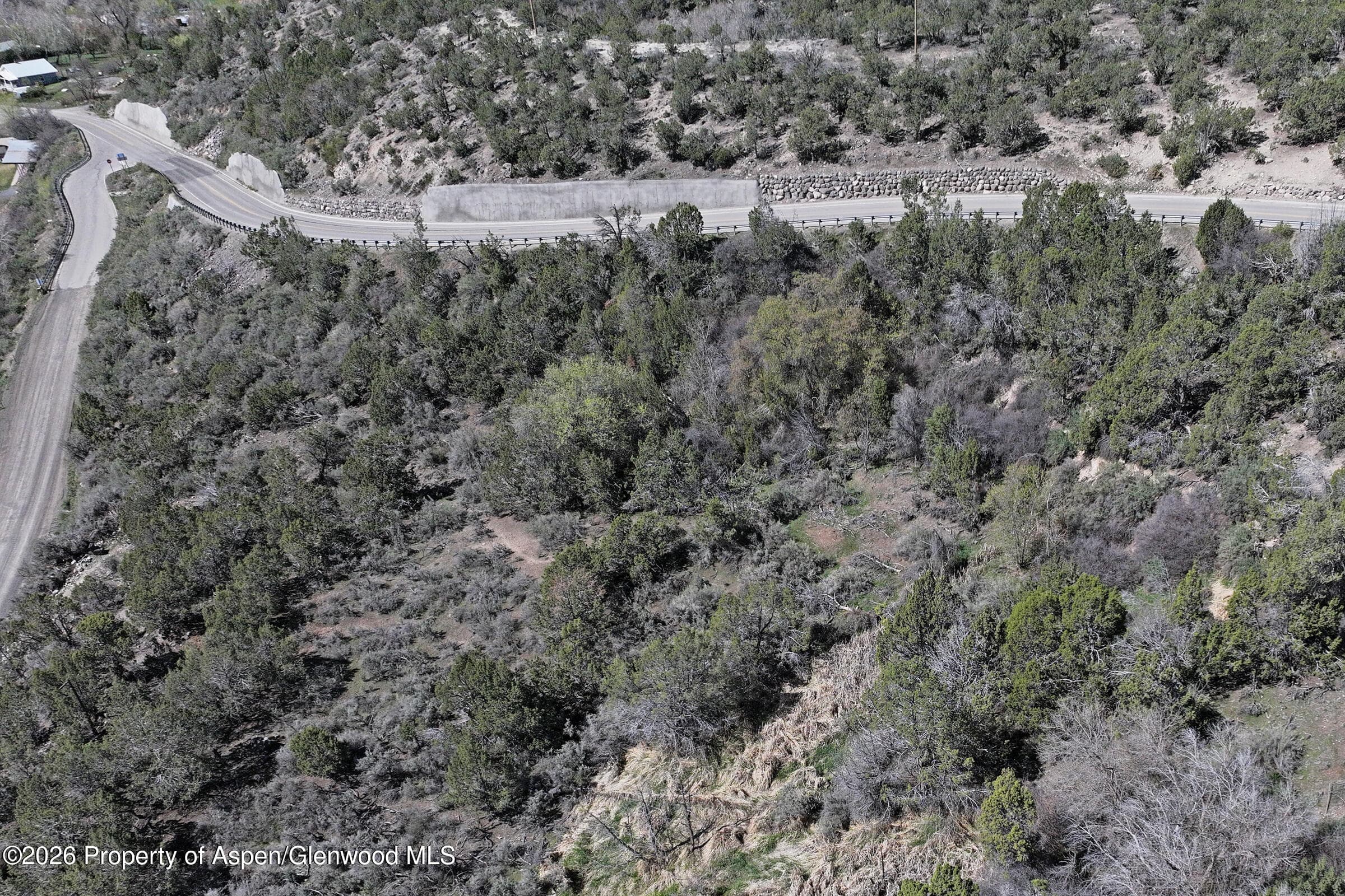 58450 Buzzard Creek Road, Collbran, CO 81624 - Photo 6