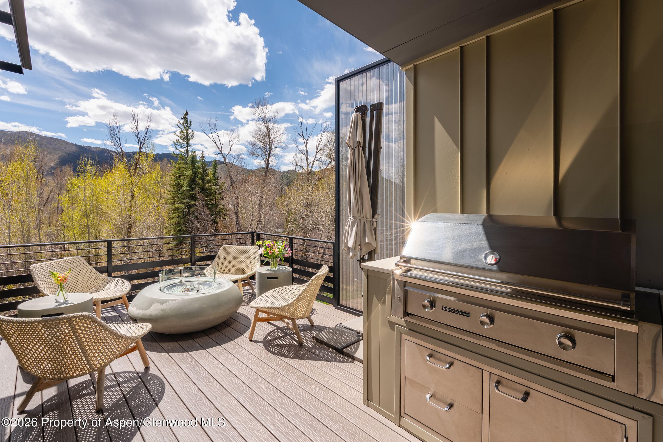 22856 Two Rivers Road, Basalt, CO 81621 - Photo 12