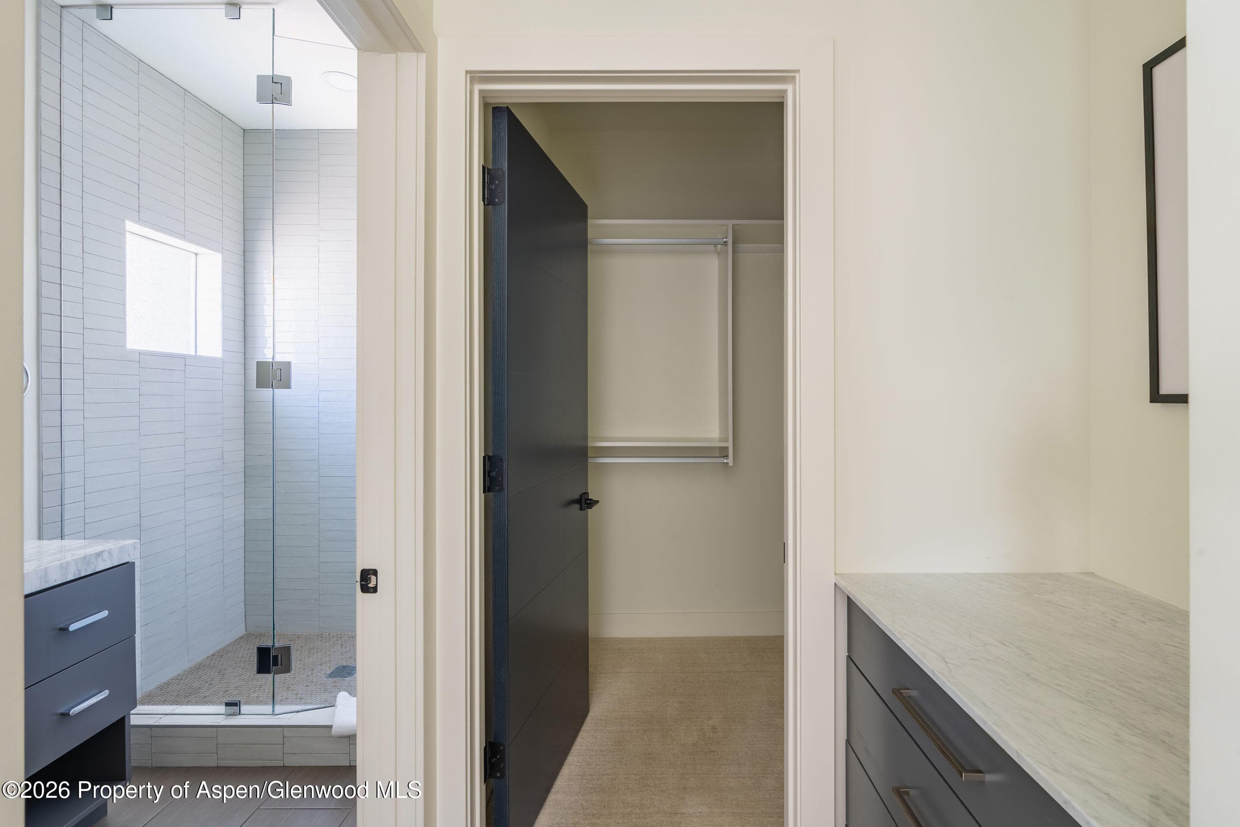 22856 Two Rivers Road, Basalt, CO 81621 - Photo 25
