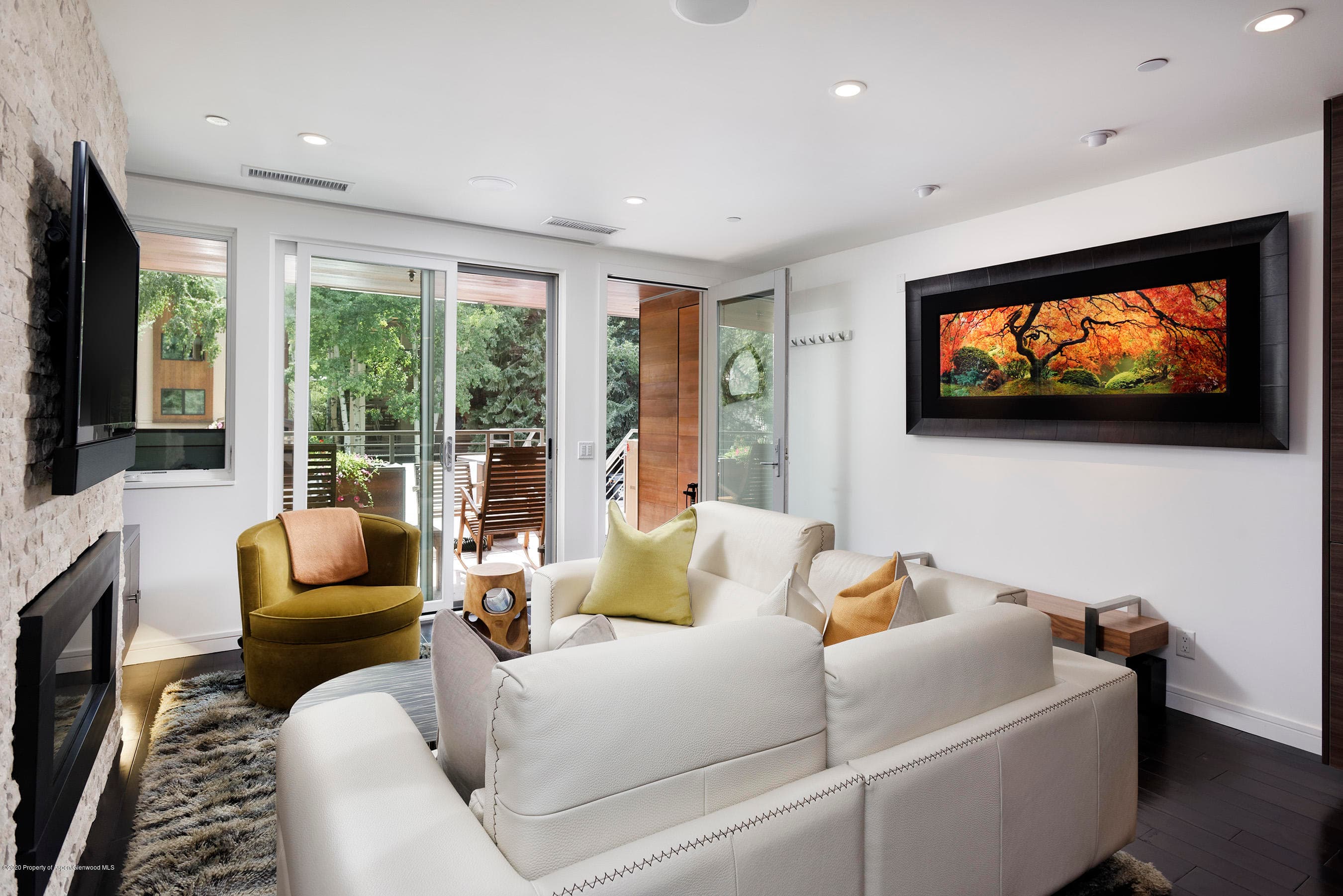 100 E Cooper Avenue 12, Aspen, CO 81611 - Photo 2