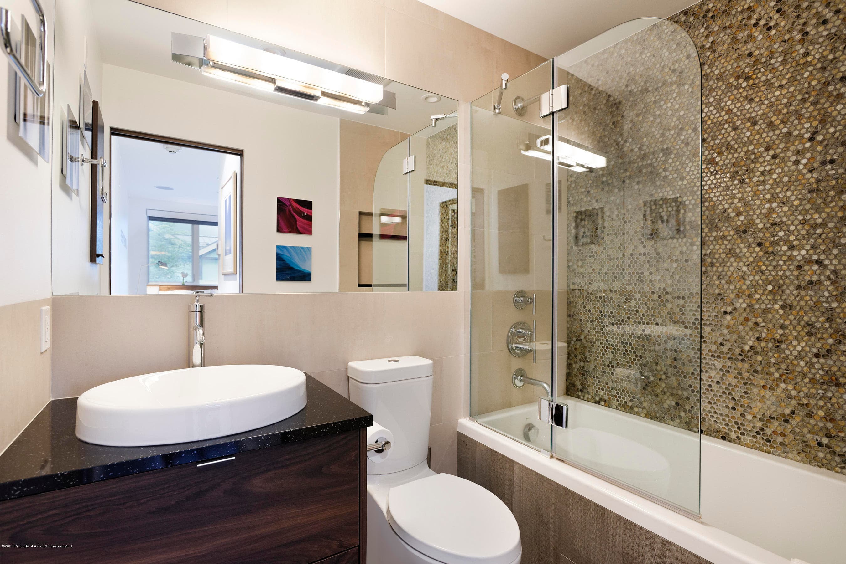100 E Cooper Avenue 12, Aspen, CO 81611 - Photo 8