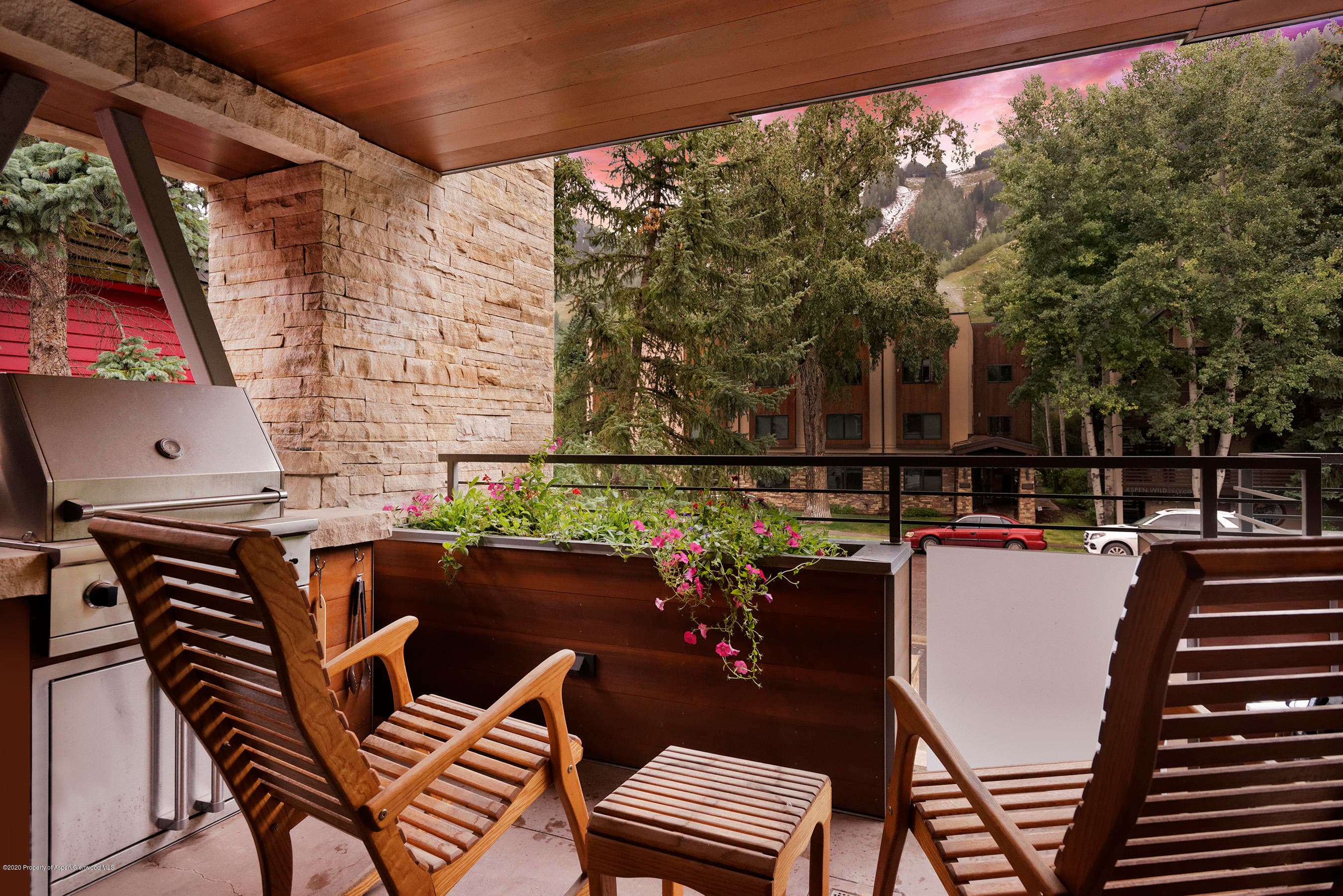 100 E Cooper Avenue 12, Aspen, CO 81611 - Photo 11