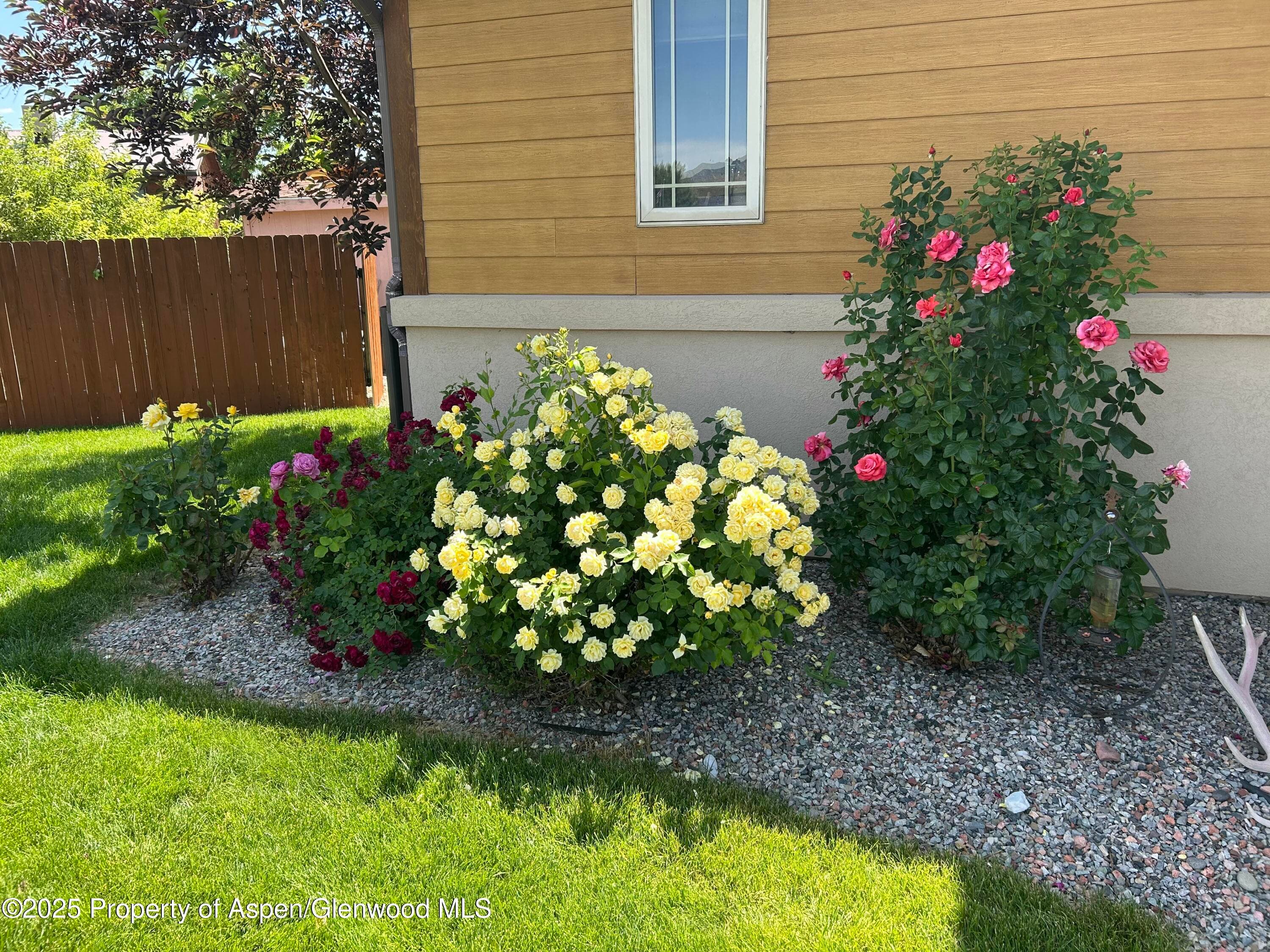 1357 W Spruce Court, Rifle, CO 81650 - Photo 4