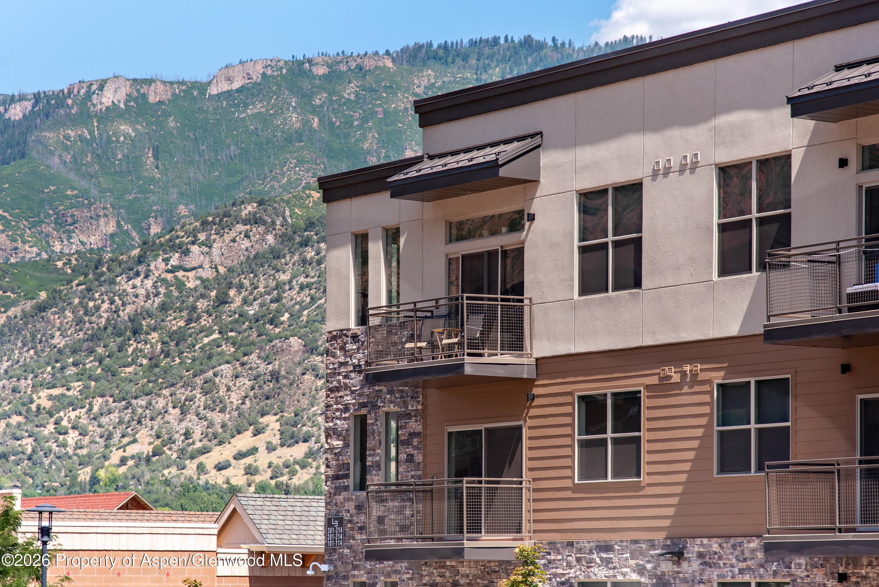 253 Wulfsohn Road 212, Glenwood Springs, CO 81601 - Photo 4