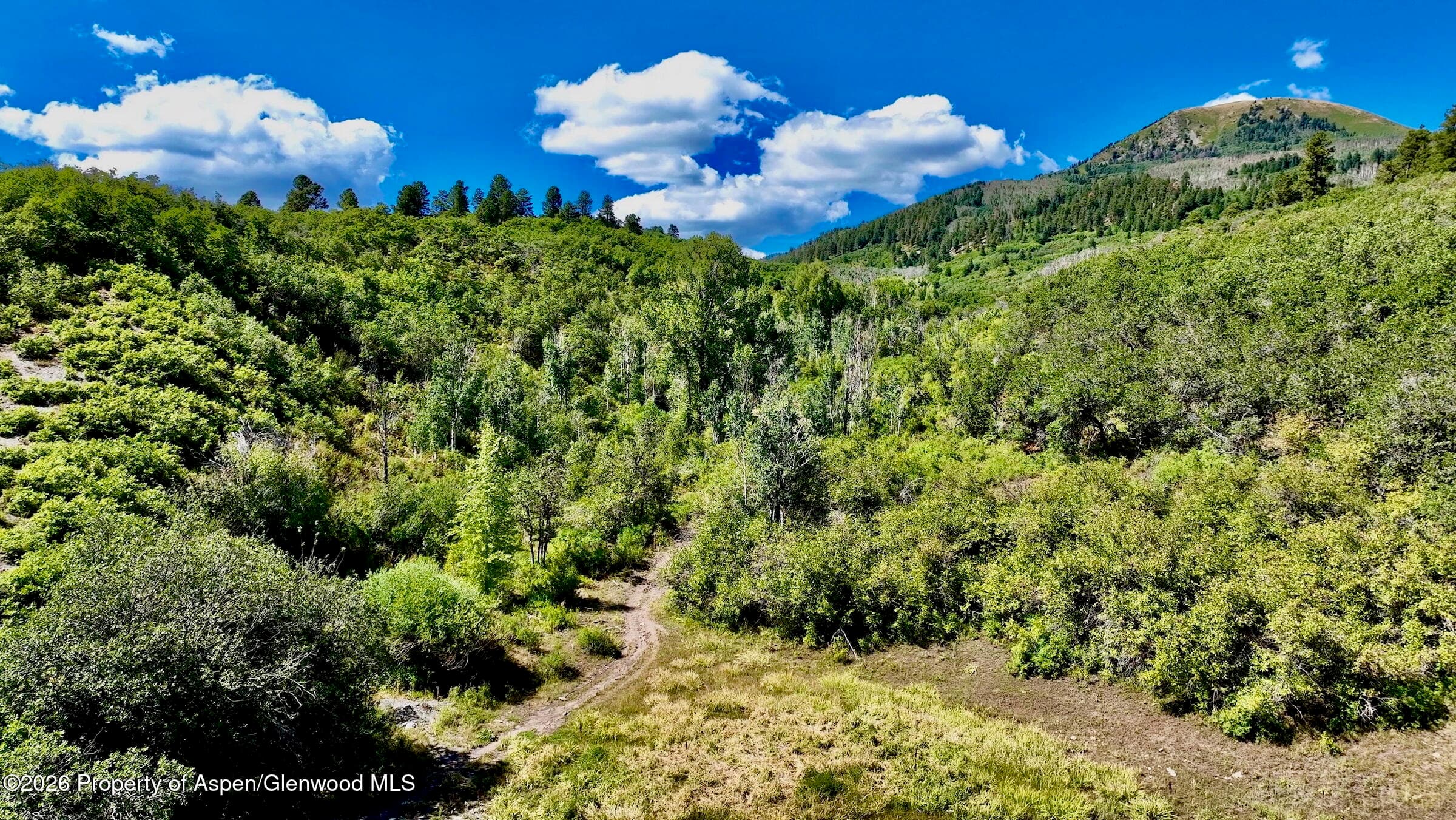 1368 Cr 124, Durango, CO 81301 - Photo 7