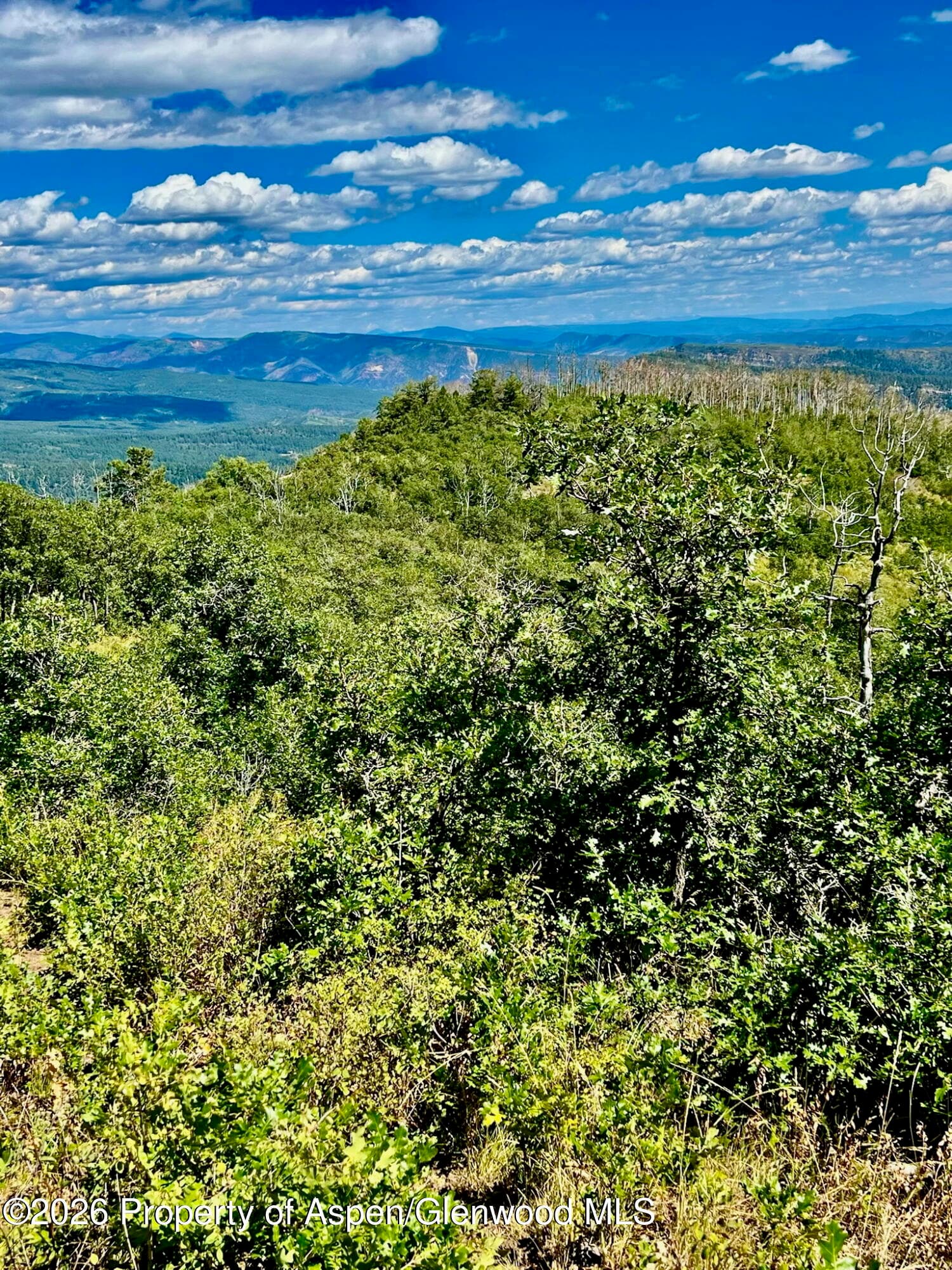 1368 Cr 124, Durango, CO 81301 - Photo 14