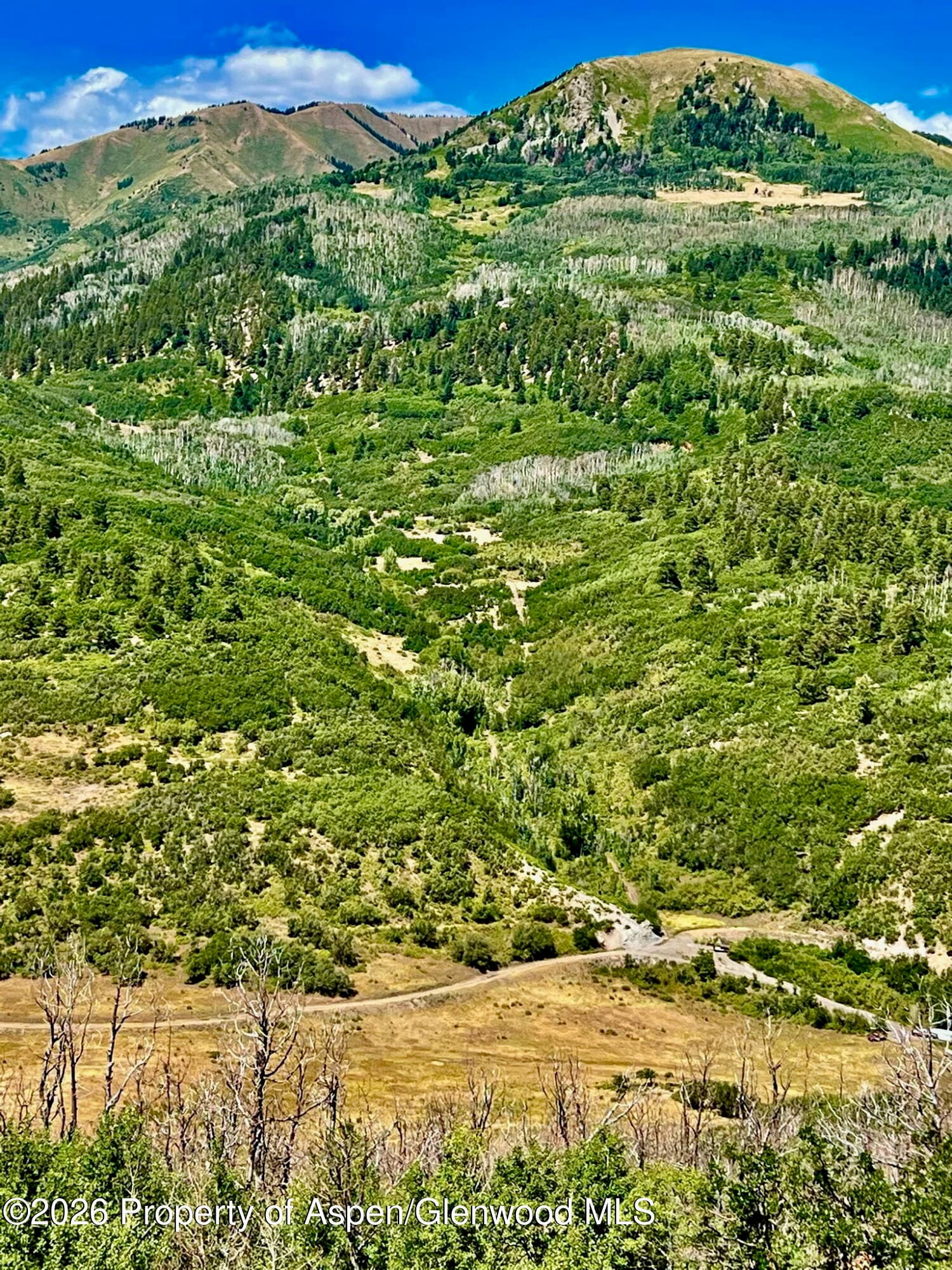1368 Cr 124, Durango, CO 81301 - Photo 10