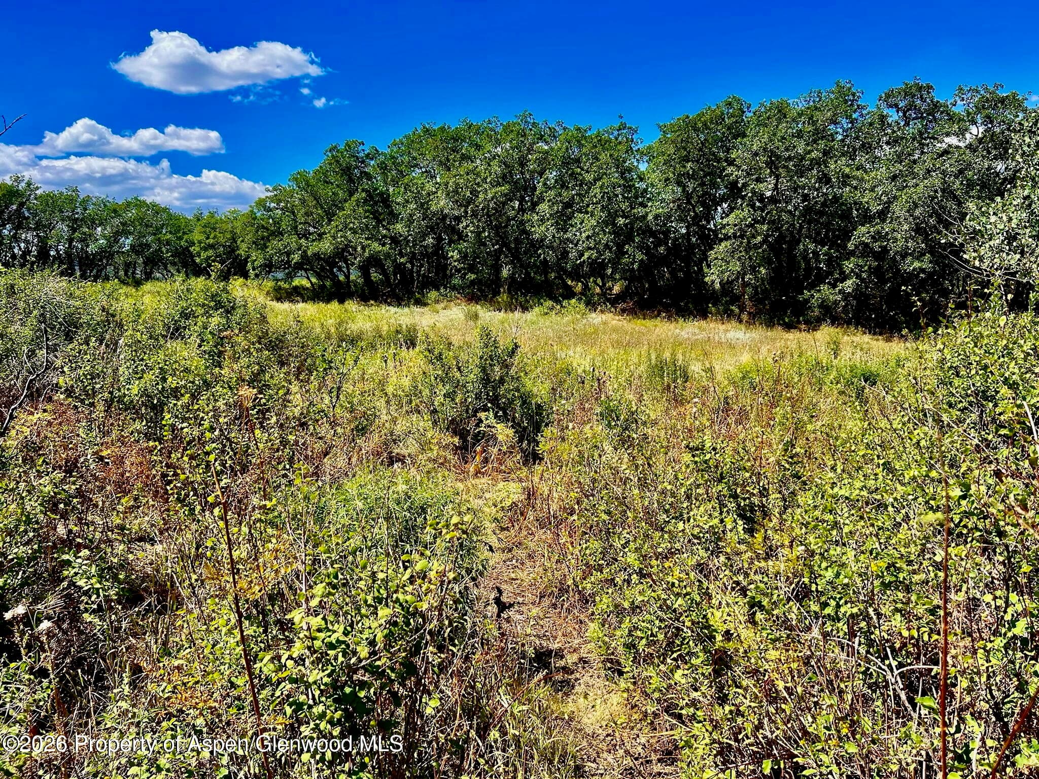 1368 Cr 124, Durango, CO 81301 - Photo 11