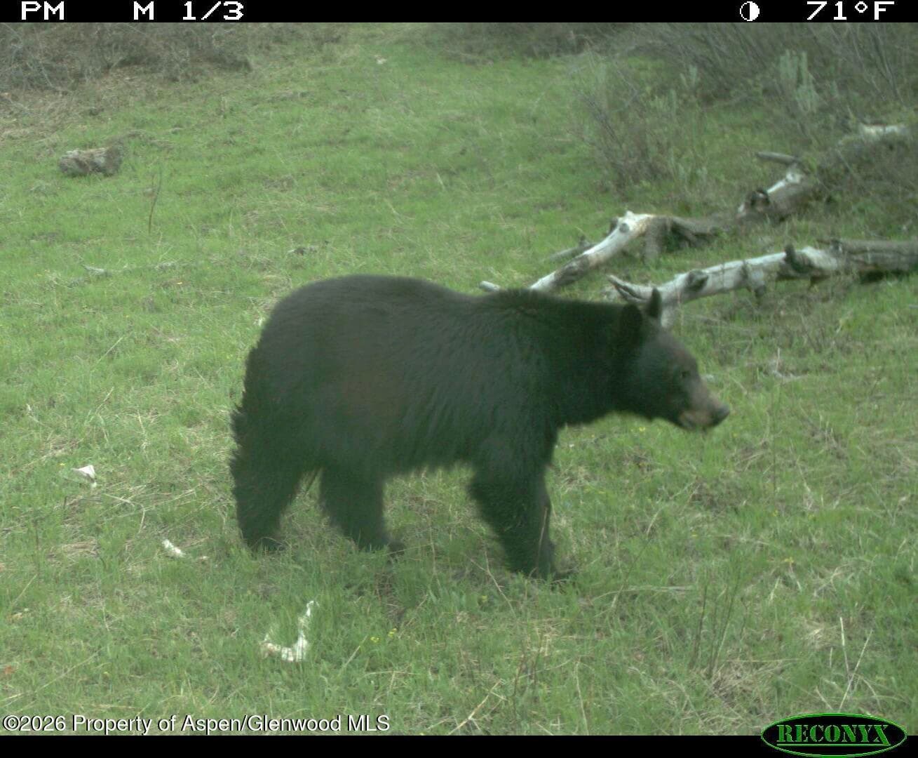910 Slater Way Road Road, Craig, CO 81625 - Photo 33