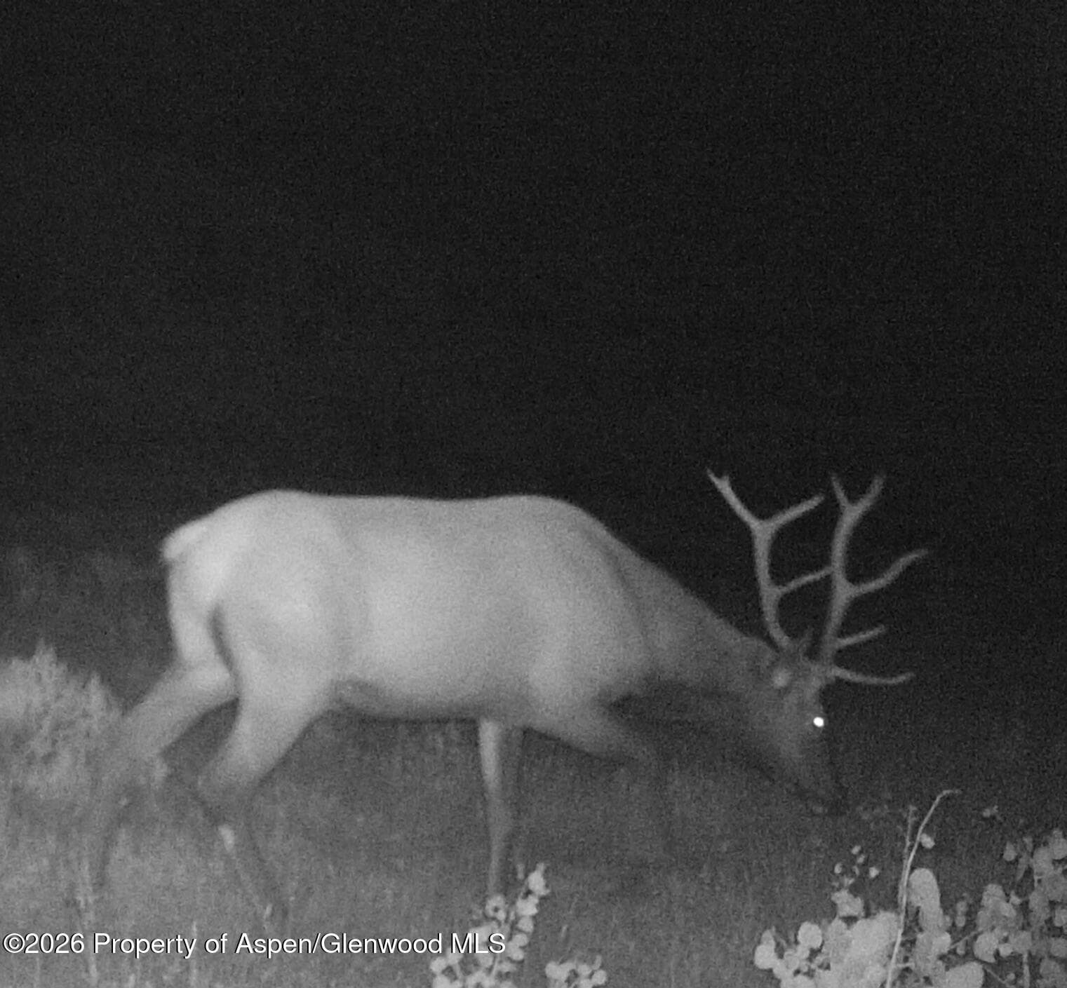 910 Slater Way Road Road, Craig, CO 81625 - Photo 25