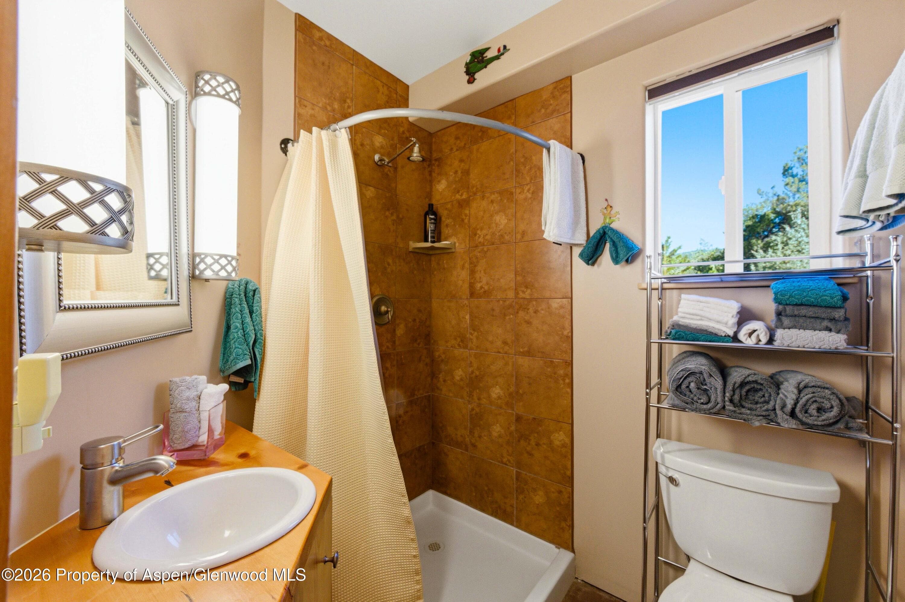 2873 County Road 1, Cotopaxi, CO 81223 - Photo 22