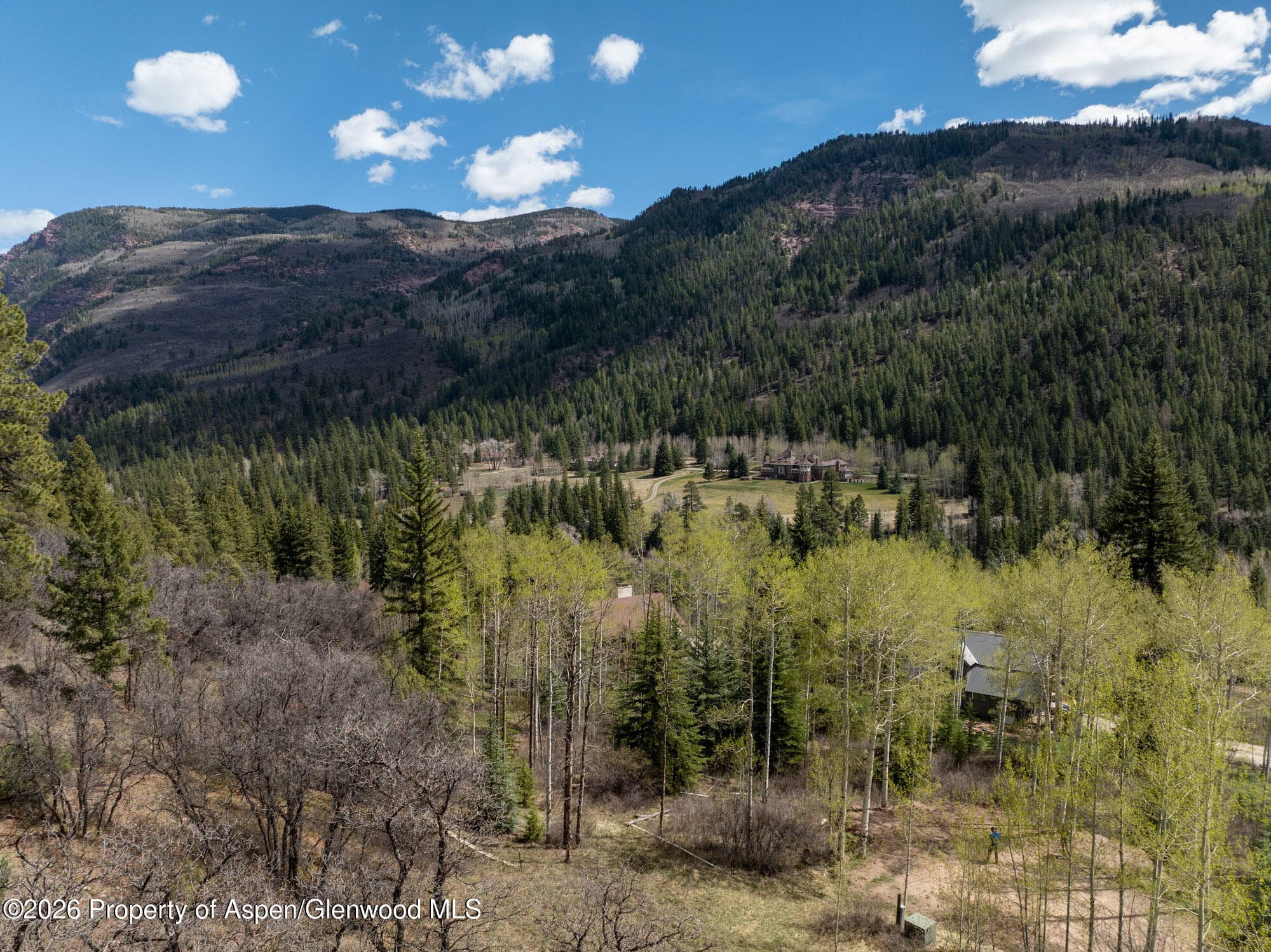 Tbd Bear Creek Lane, Redstone, CO 81623 - Photo 9