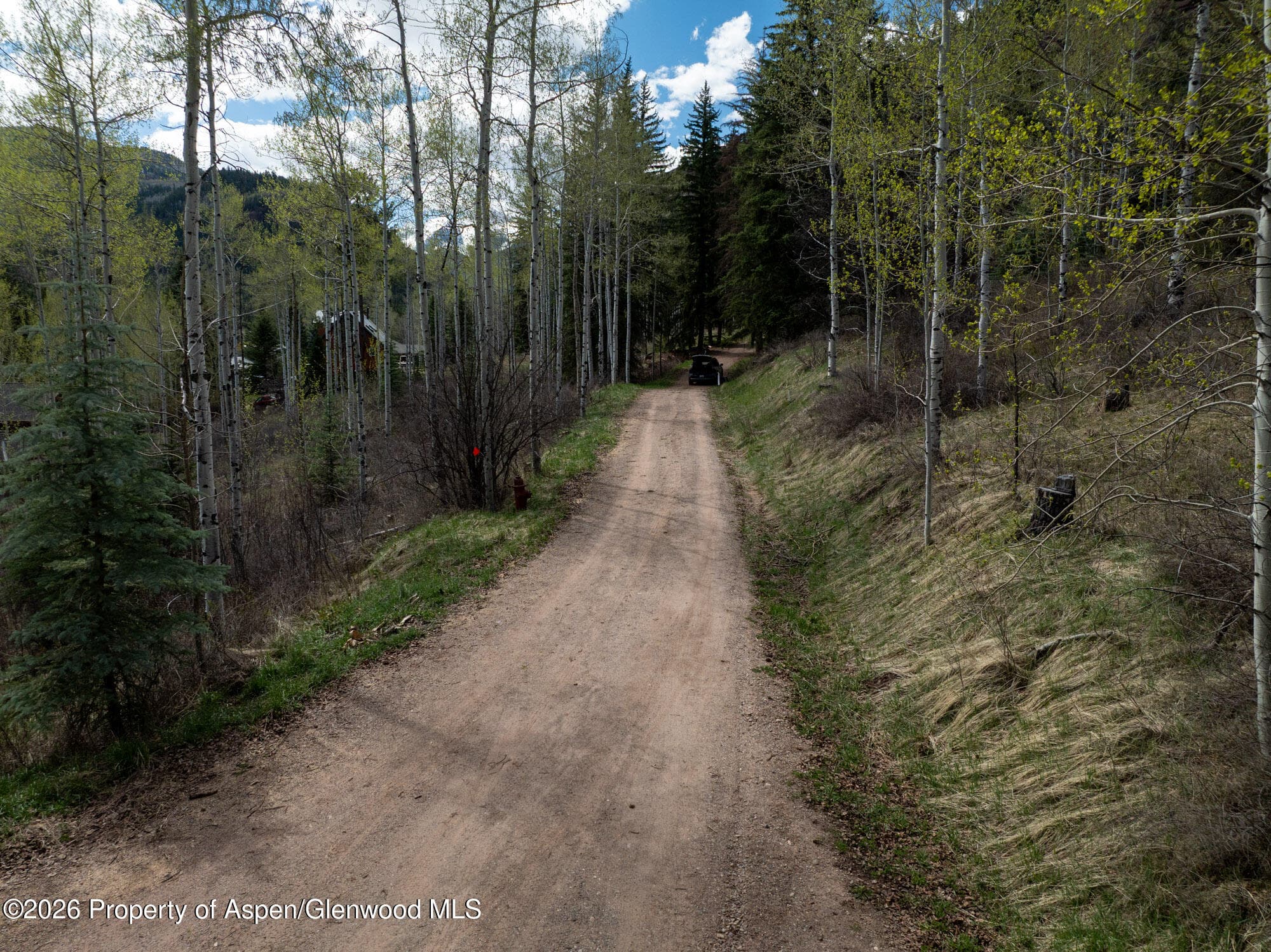 Tbd Bear Creek Lane, Redstone, CO 81623 - Photo 16